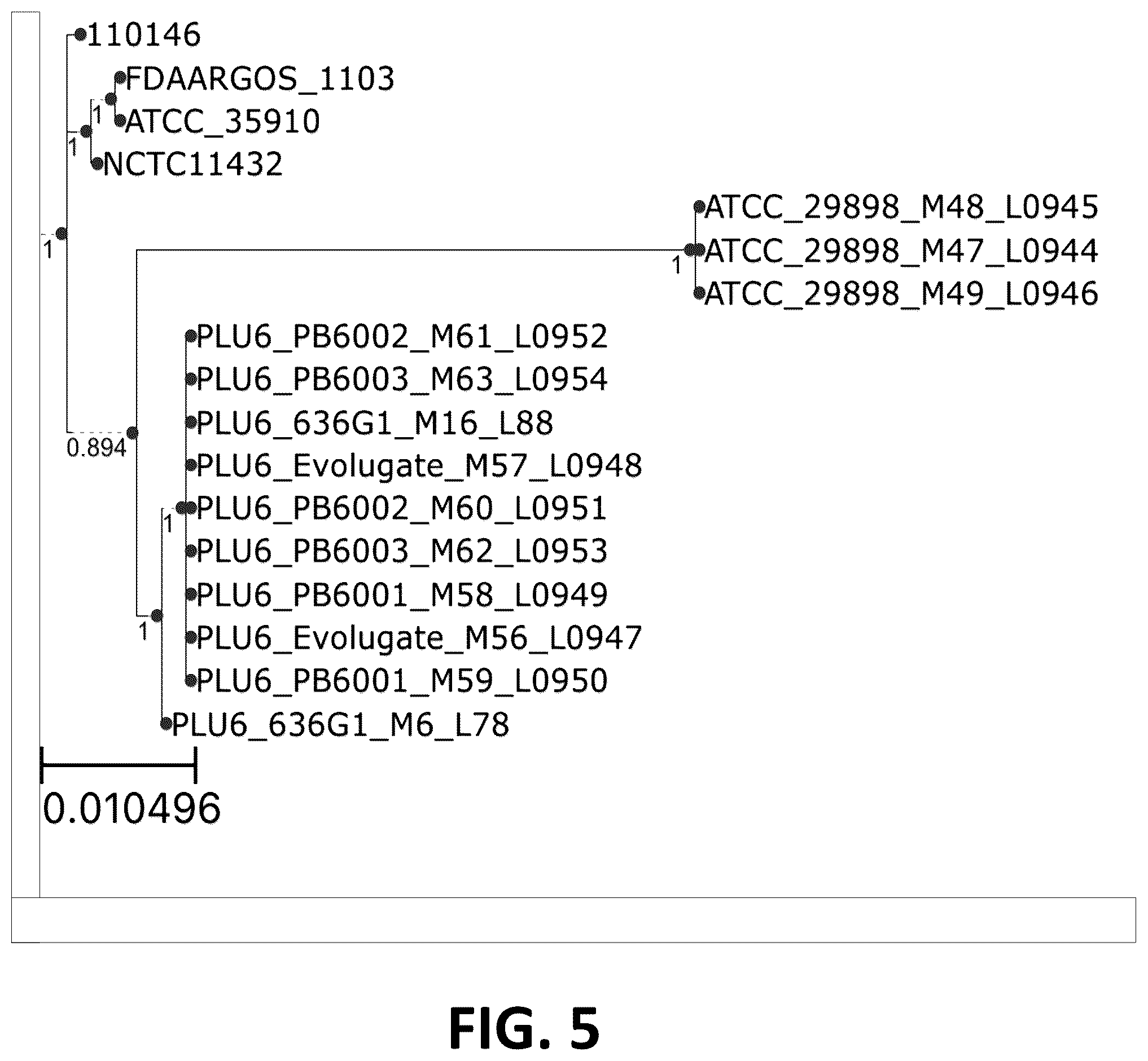 Patent US12376589 Figure 5 – Chryseobacterium insect inhibitory microbial compositions and methods of making and using