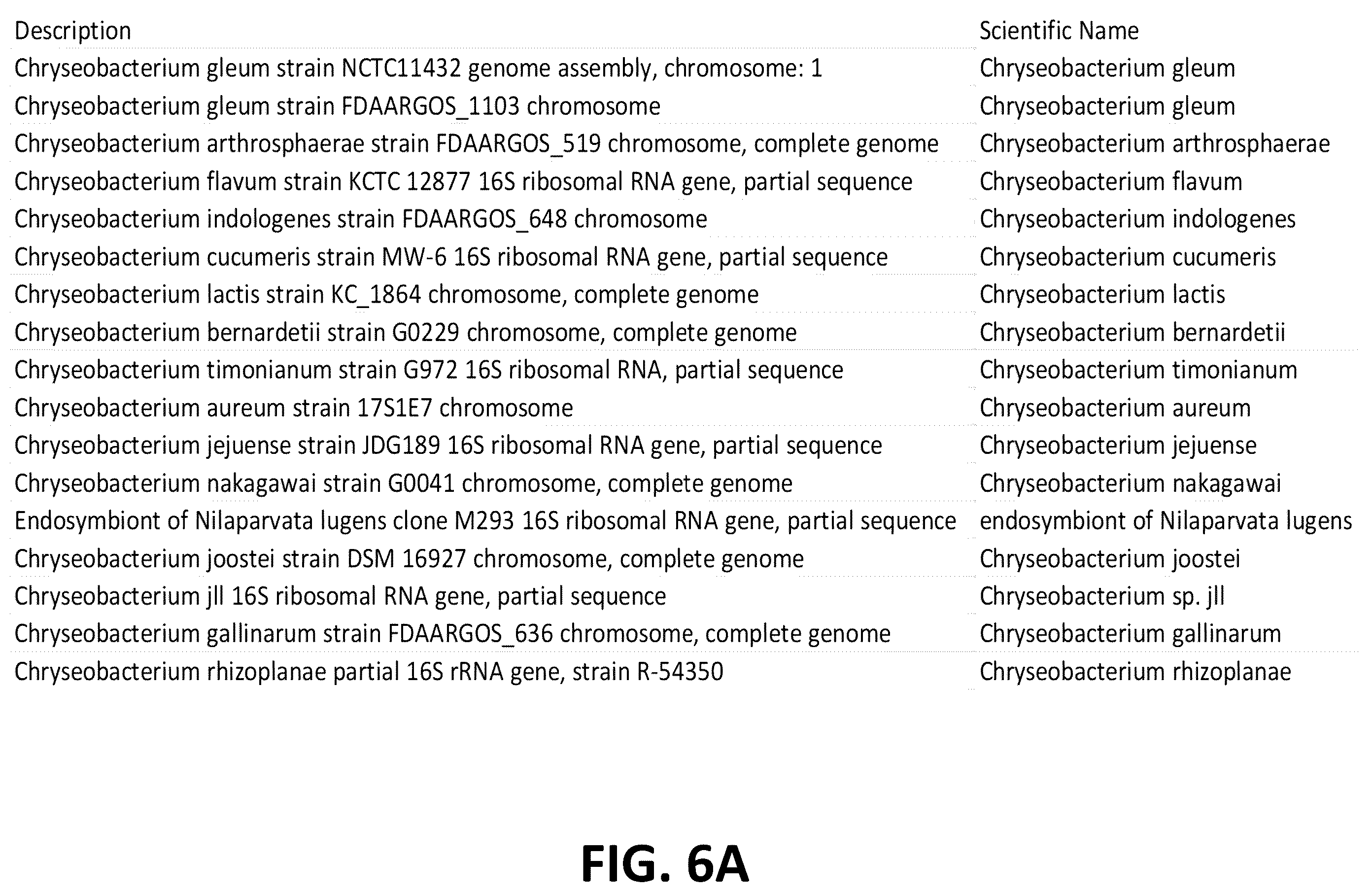 Patent US12376589 Figure 6 – Chryseobacterium insect inhibitory microbial compositions and methods of making and using