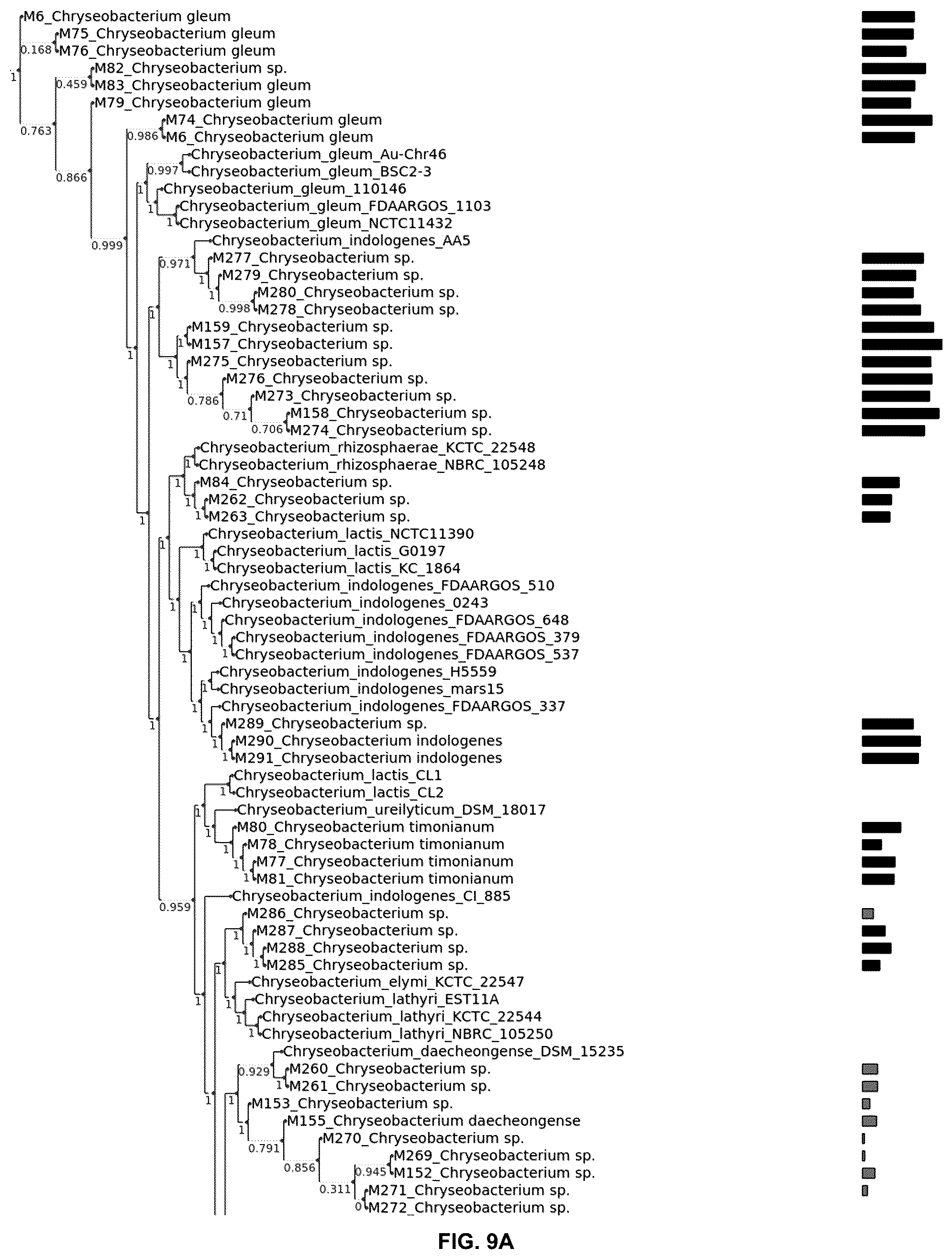 Patent US12376589 Figure 10 – Chryseobacterium insect inhibitory microbial compositions and methods of making and using