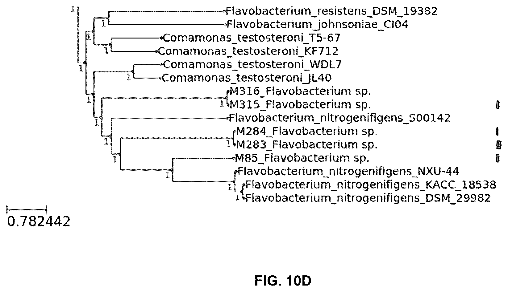 Patent US12376589 Figure 16 – Chryseobacterium insect inhibitory microbial compositions and methods of making and using