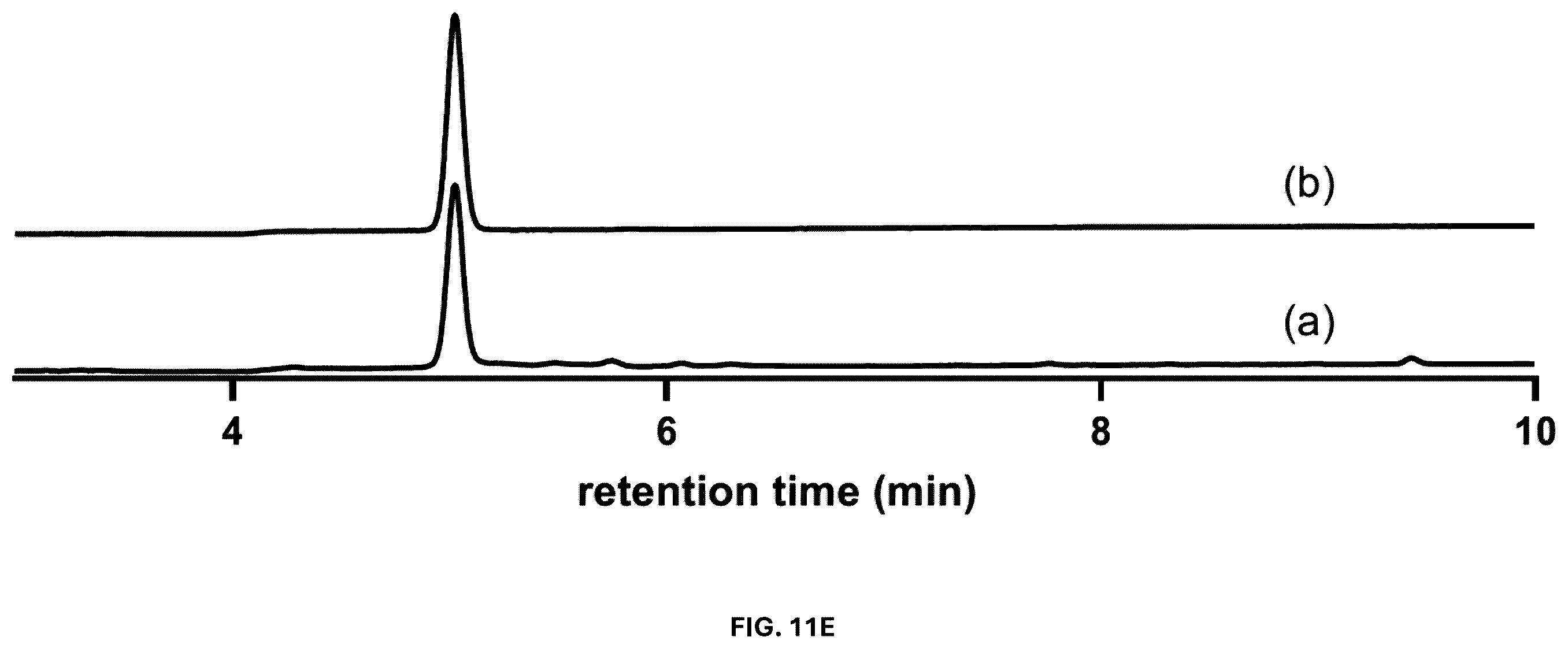 Patent US12376589 Figure 20 – Chryseobacterium insect inhibitory microbial compositions and methods of making and using