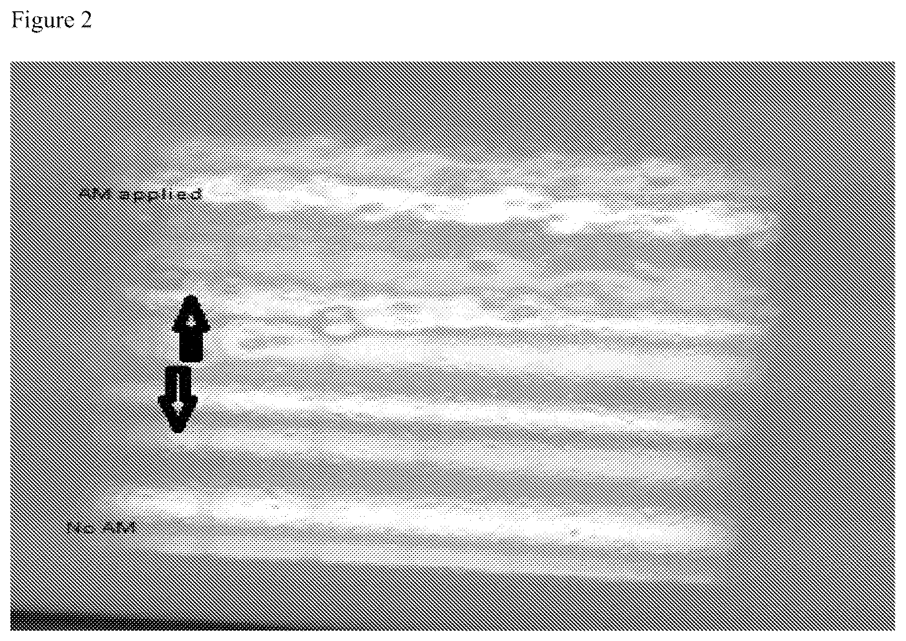 Patent US12376593 Figure 2 – Method of treating a glazed ceramic article