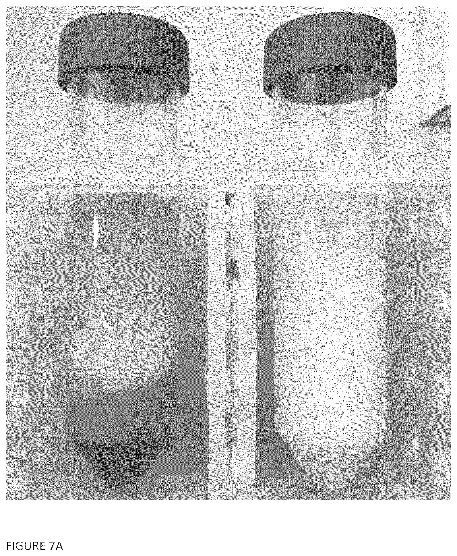Patent US12376602 Figure 7 – Methods and compositions related to a stable blend of casein and plant proteins with improved physical and flavor characteristics