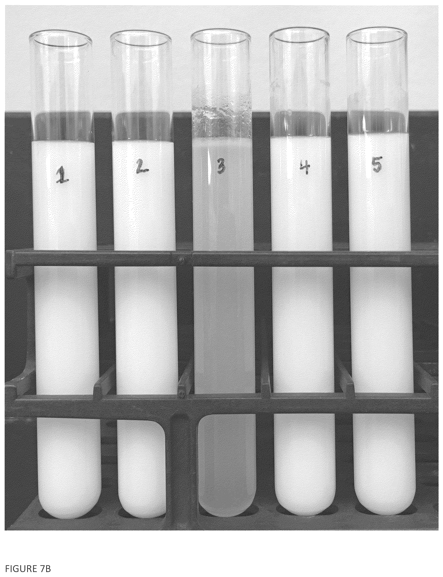 Patent US12376602 Figure 8 – Methods and compositions related to a stable blend of casein and plant proteins with improved physical and flavor characteristics