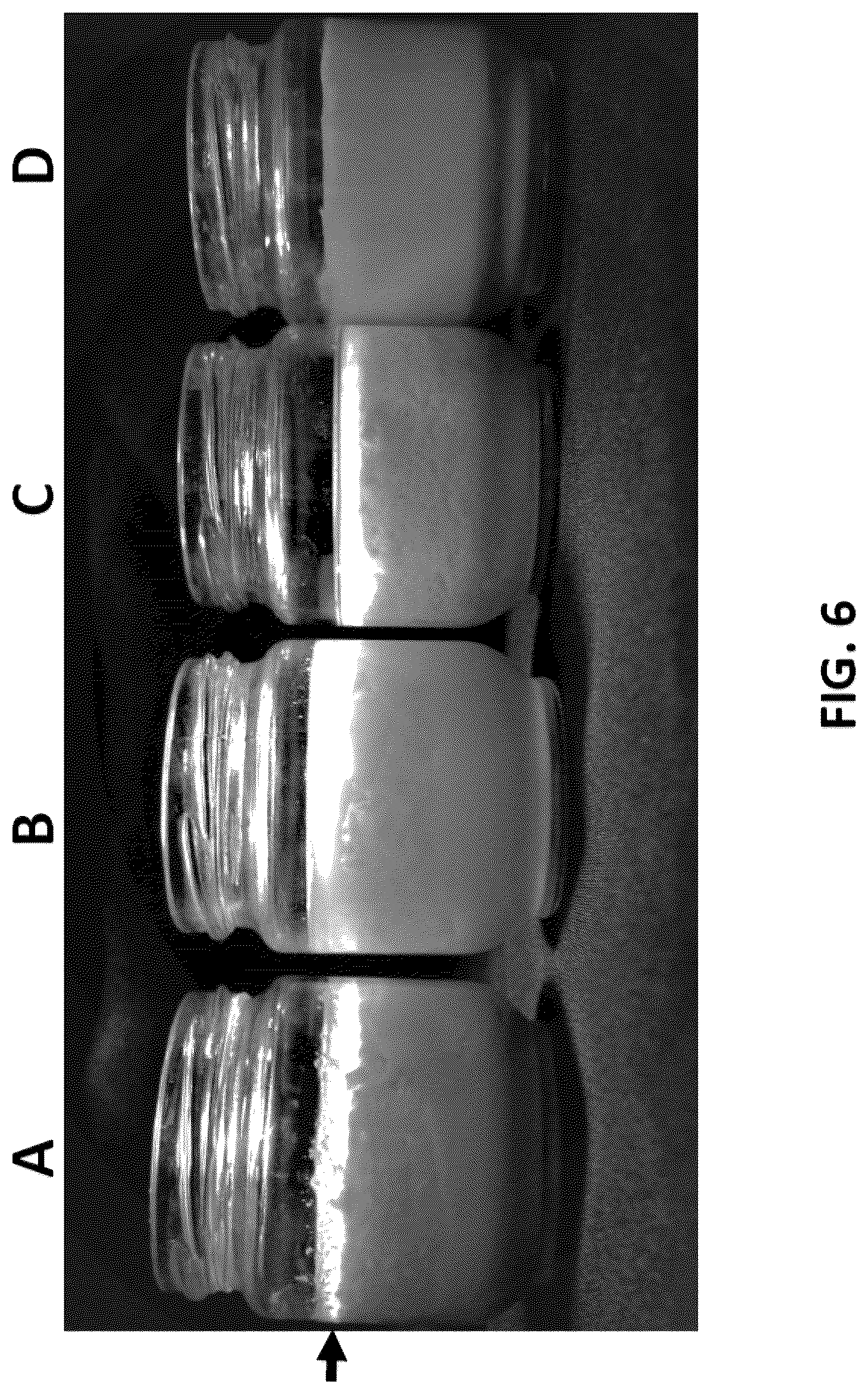 Patent US12376607 Figure 6 – Potato protein powders