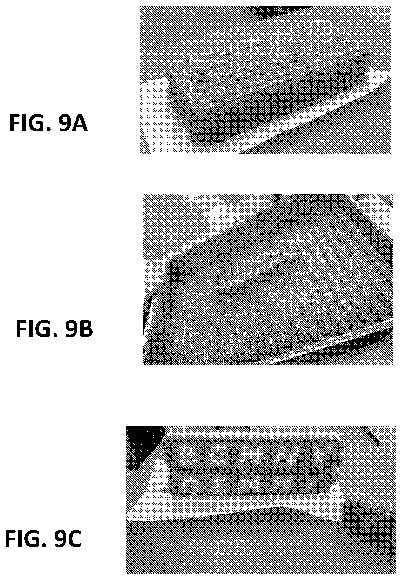Patent US12376608 Figure 13 – Meat analogues and methods of producing the same