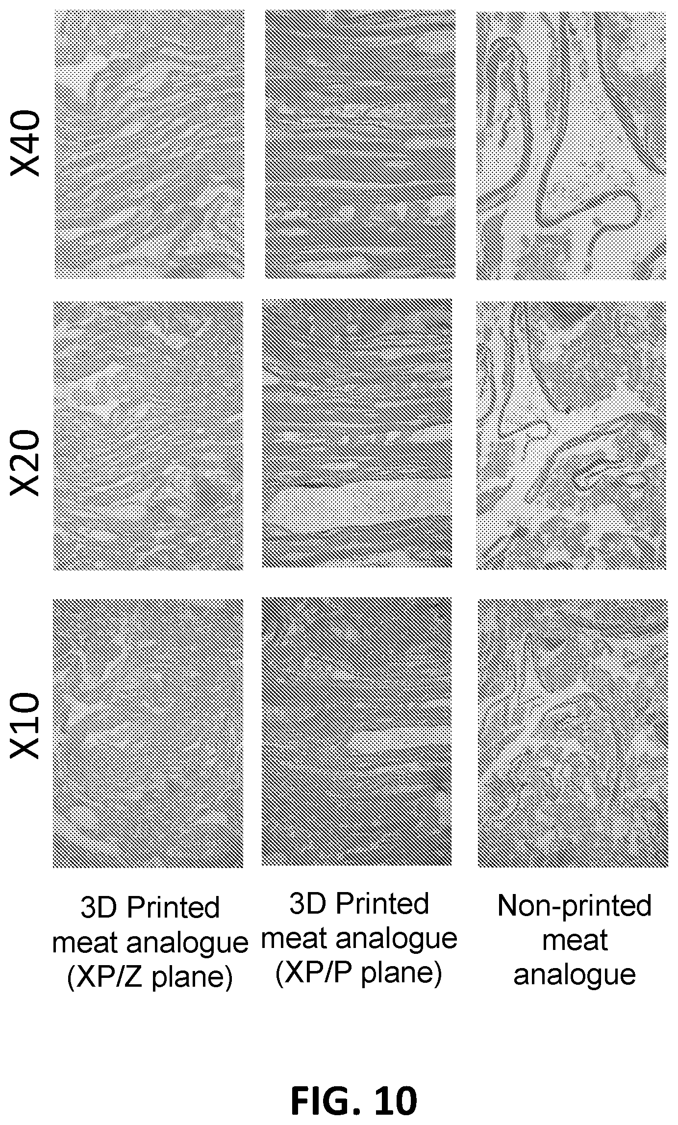 Patent US12376608 Figure 14 – Meat analogues and methods of producing the same