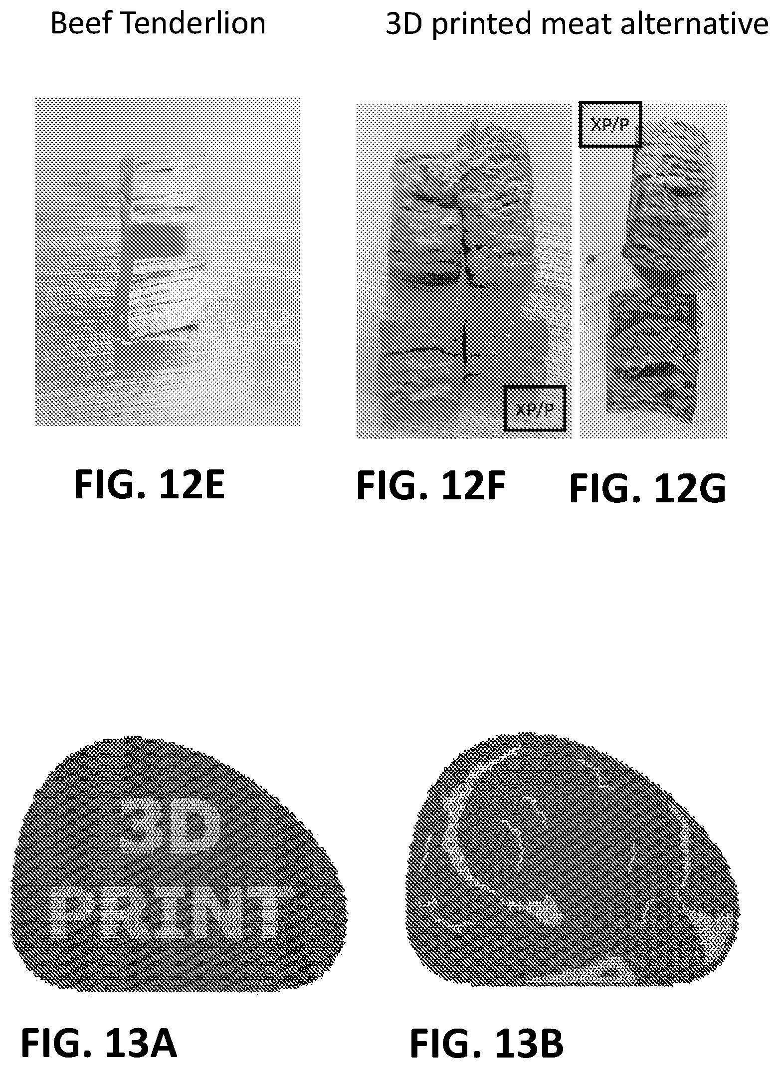 Patent US12376608 Figure 17 – Meat analogues and methods of producing the same