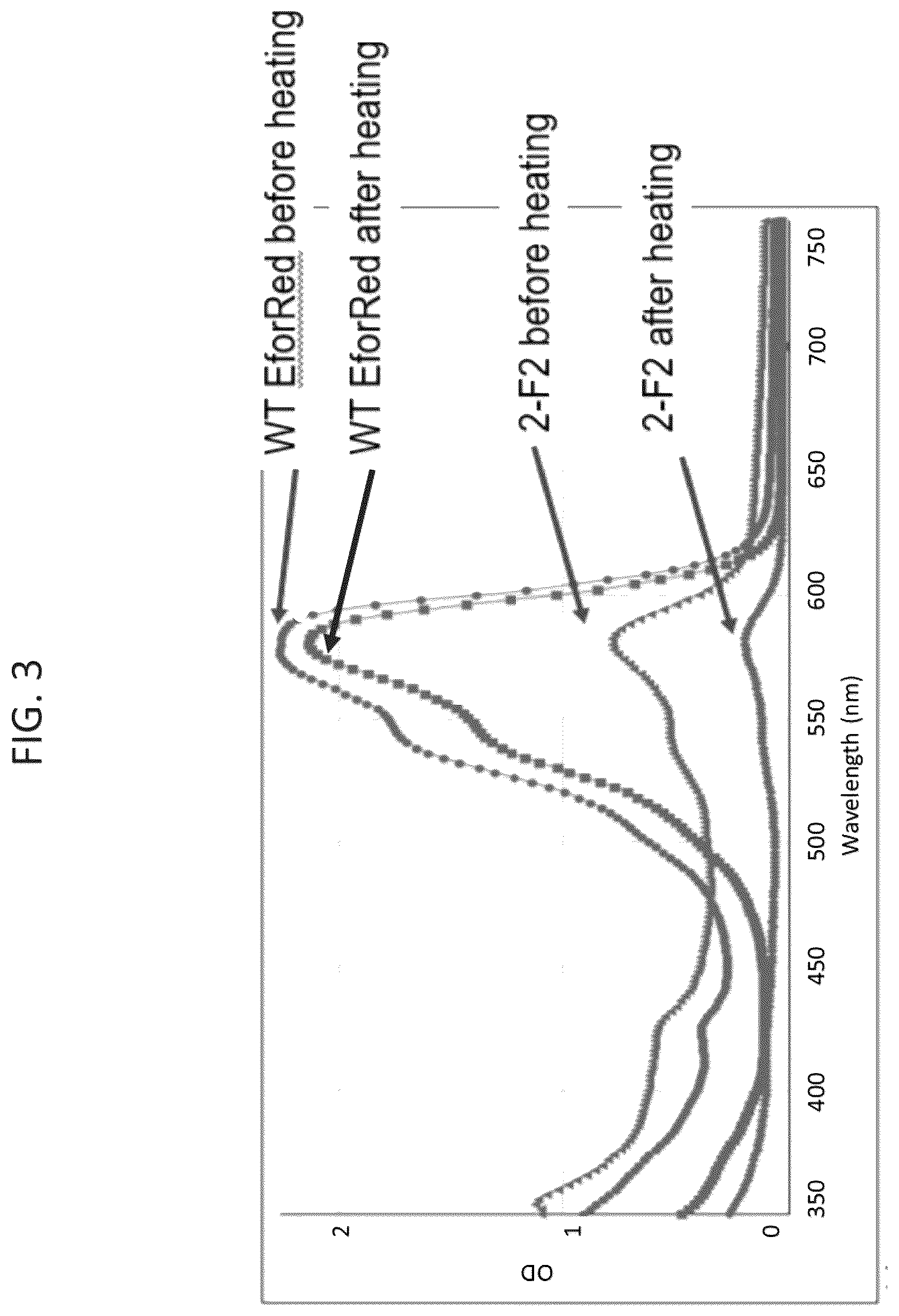 Patent US12376609 Figure 3 – Thermolabile pigments for meat substitutes derived by mutation of the pigment of coral Echinopora forskaliana