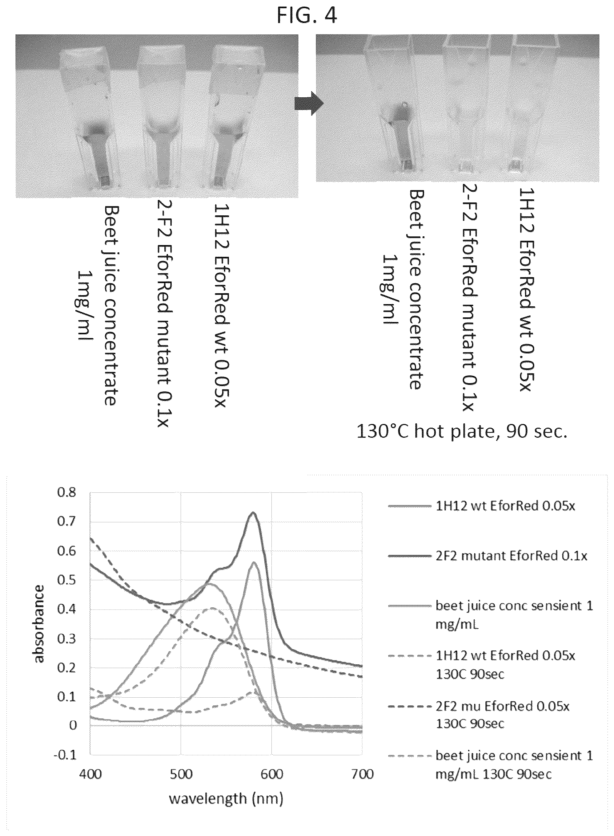 Patent US12376609 Figure 4 – Thermolabile pigments for meat substitutes derived by mutation of the pigment of coral Echinopora forskaliana