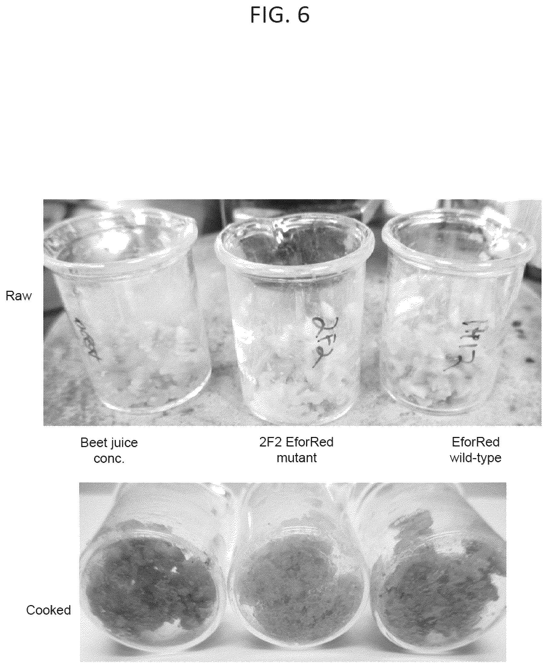Patent US12376609 Figure 6 – Thermolabile pigments for meat substitutes derived by mutation of the pigment of coral Echinopora forskaliana