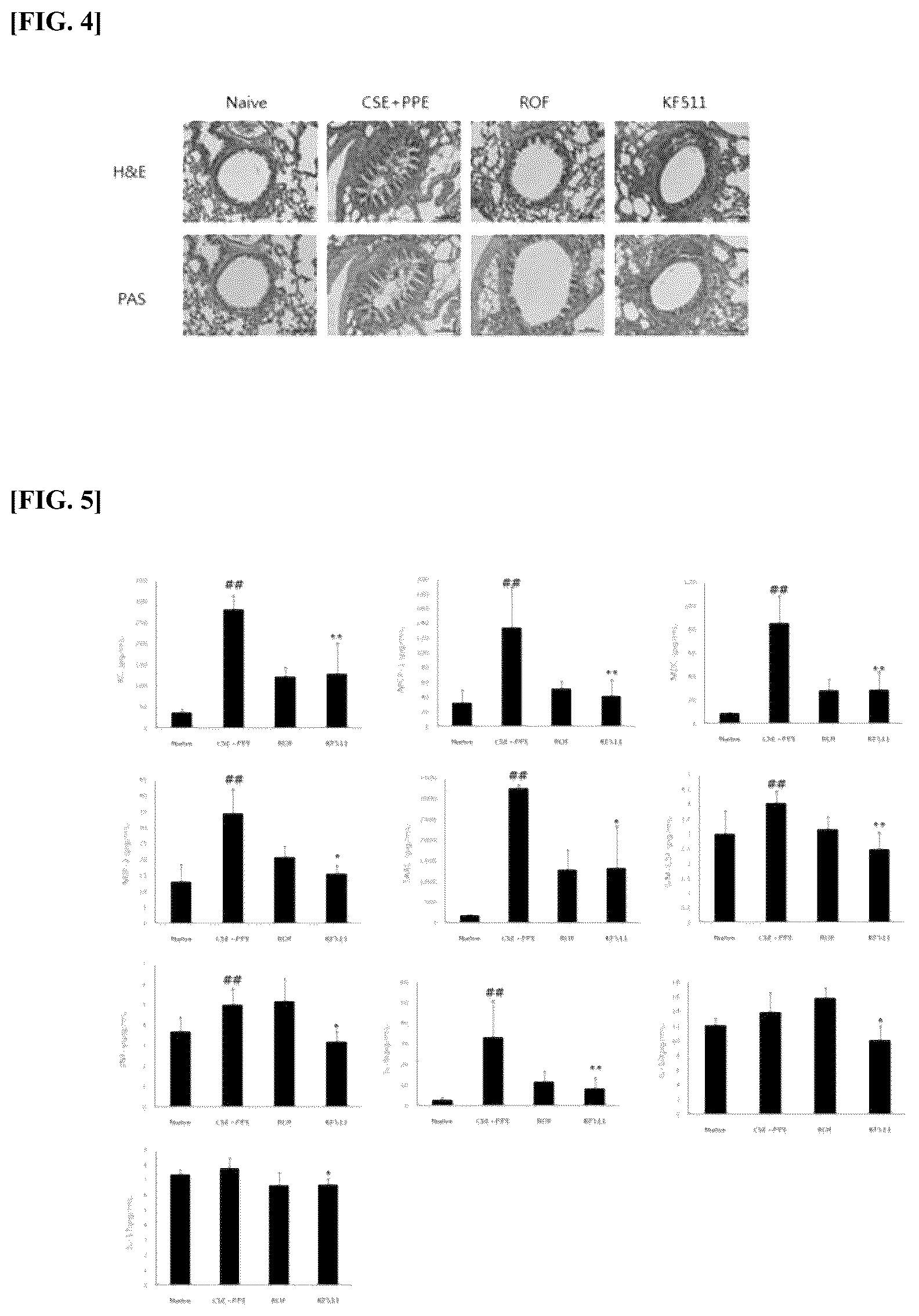 Patent US12376615 Figure 2 – Composition for improving respiratory diseases using Lactobacillus plantarum strain