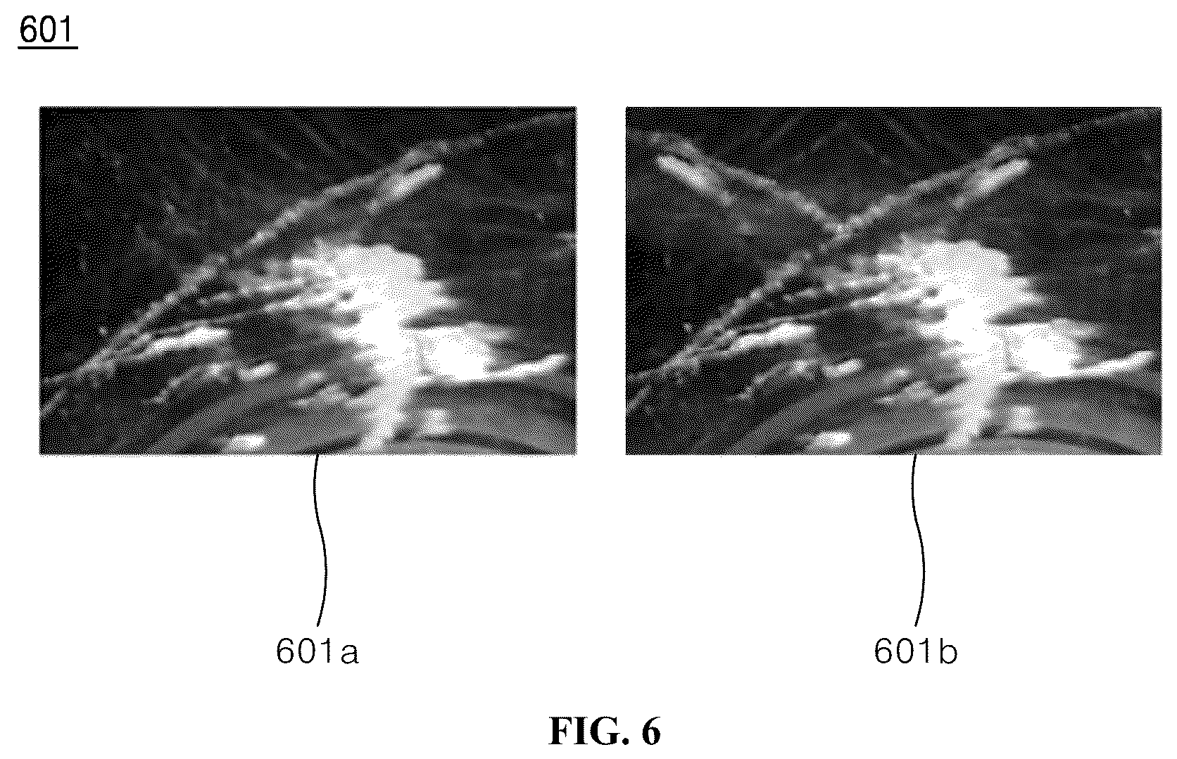 Patent US12376727 Figure 6 – Dishwasher and method for detecting camera failure by dishwasher