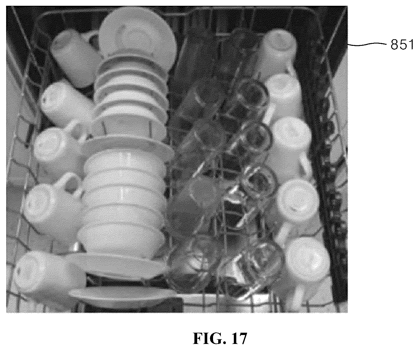 Patent US12376727 Figure 17 – Dishwasher and method for detecting camera failure by dishwasher