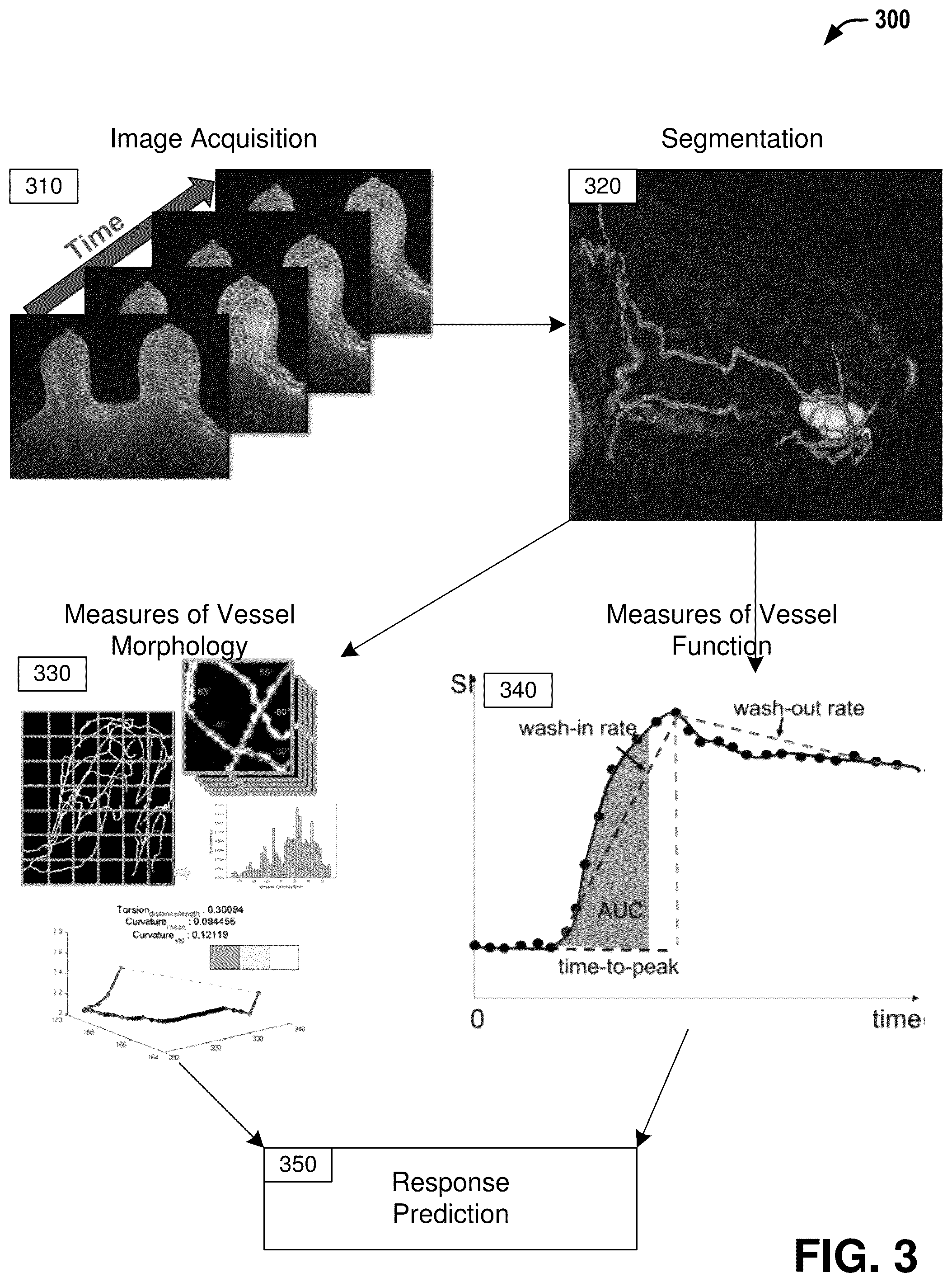 Patent US12376750 Figure 3 – Tumor characterization and outcome prediction through quantitative measurements of tumor-associated vasculature