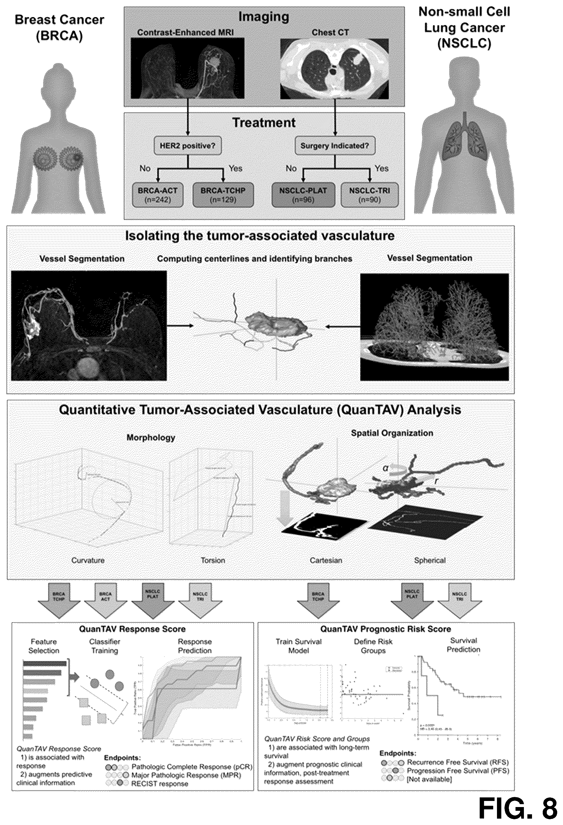 Patent US12376750 Figure 8 – Tumor characterization and outcome prediction through quantitative measurements of tumor-associated vasculature
