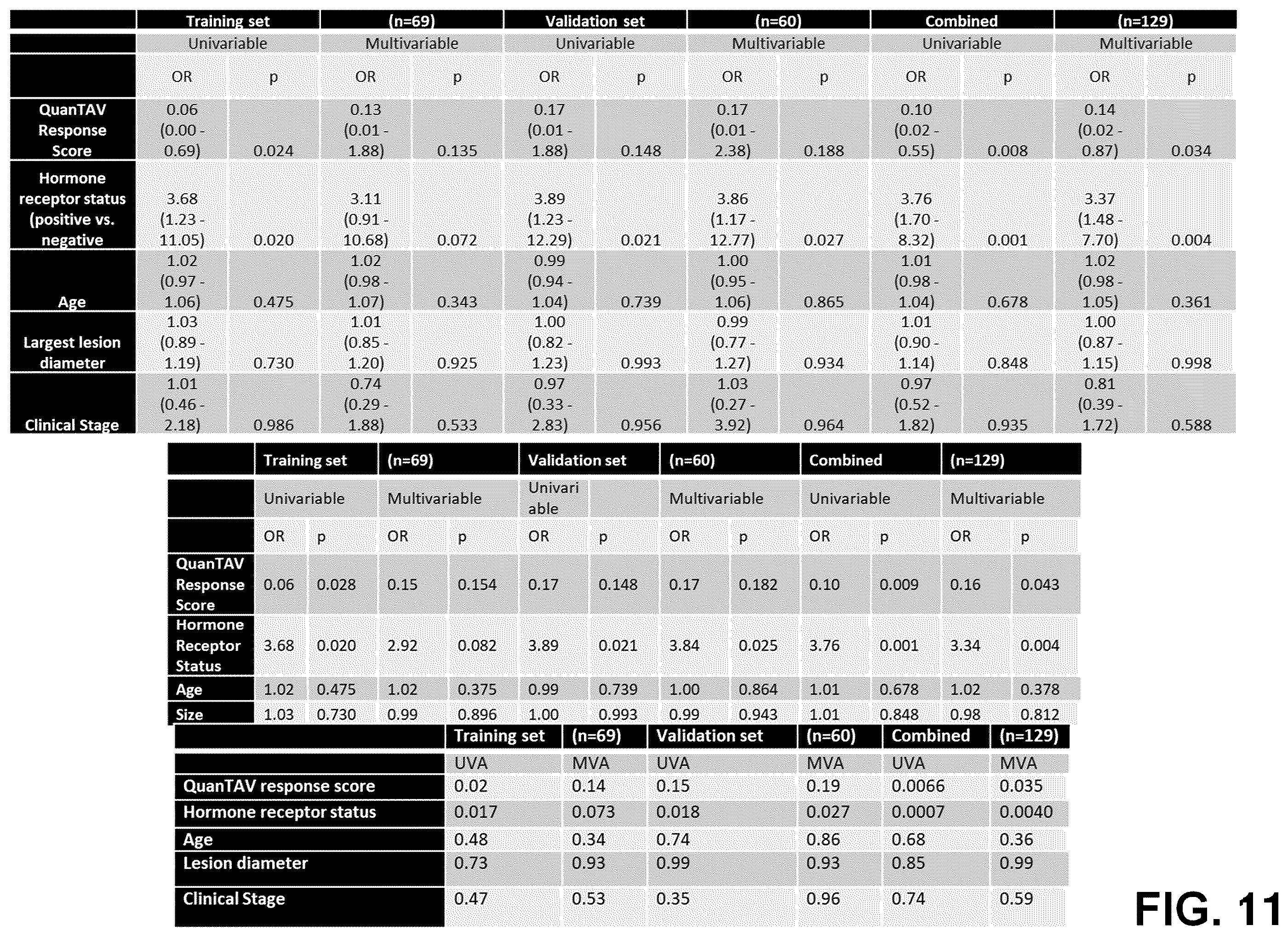 Patent US12376750 Figure 11 – Tumor characterization and outcome prediction through quantitative measurements of tumor-associated vasculature