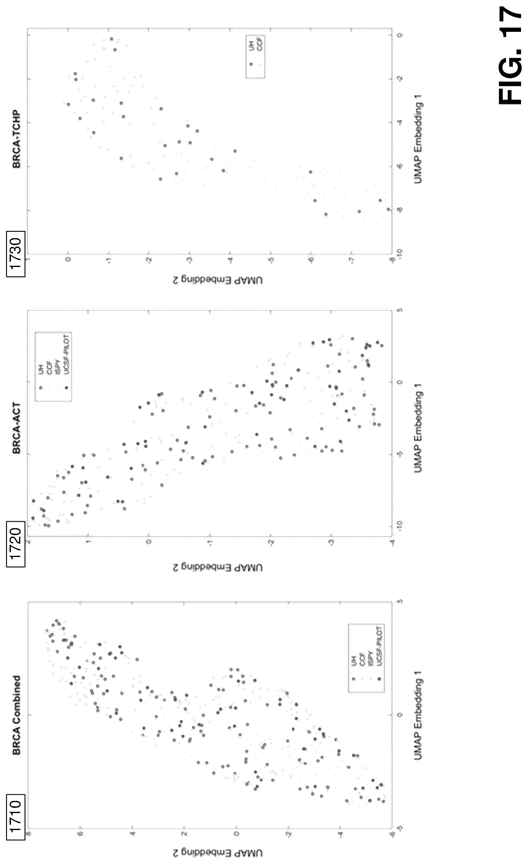 Patent US12376750 Figure 17 – Tumor characterization and outcome prediction through quantitative measurements of tumor-associated vasculature