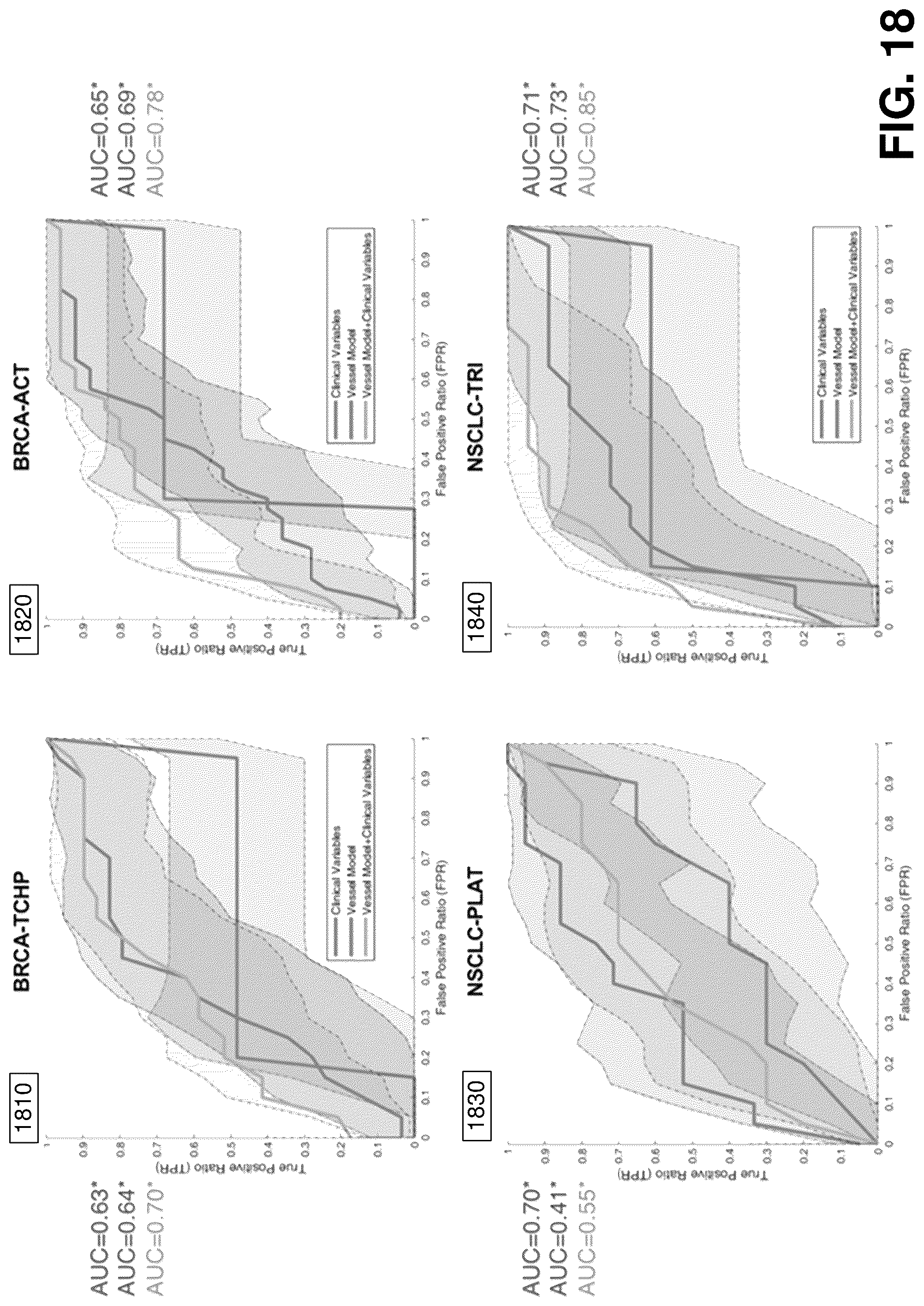 Patent US12376750 Figure 18 – Tumor characterization and outcome prediction through quantitative measurements of tumor-associated vasculature