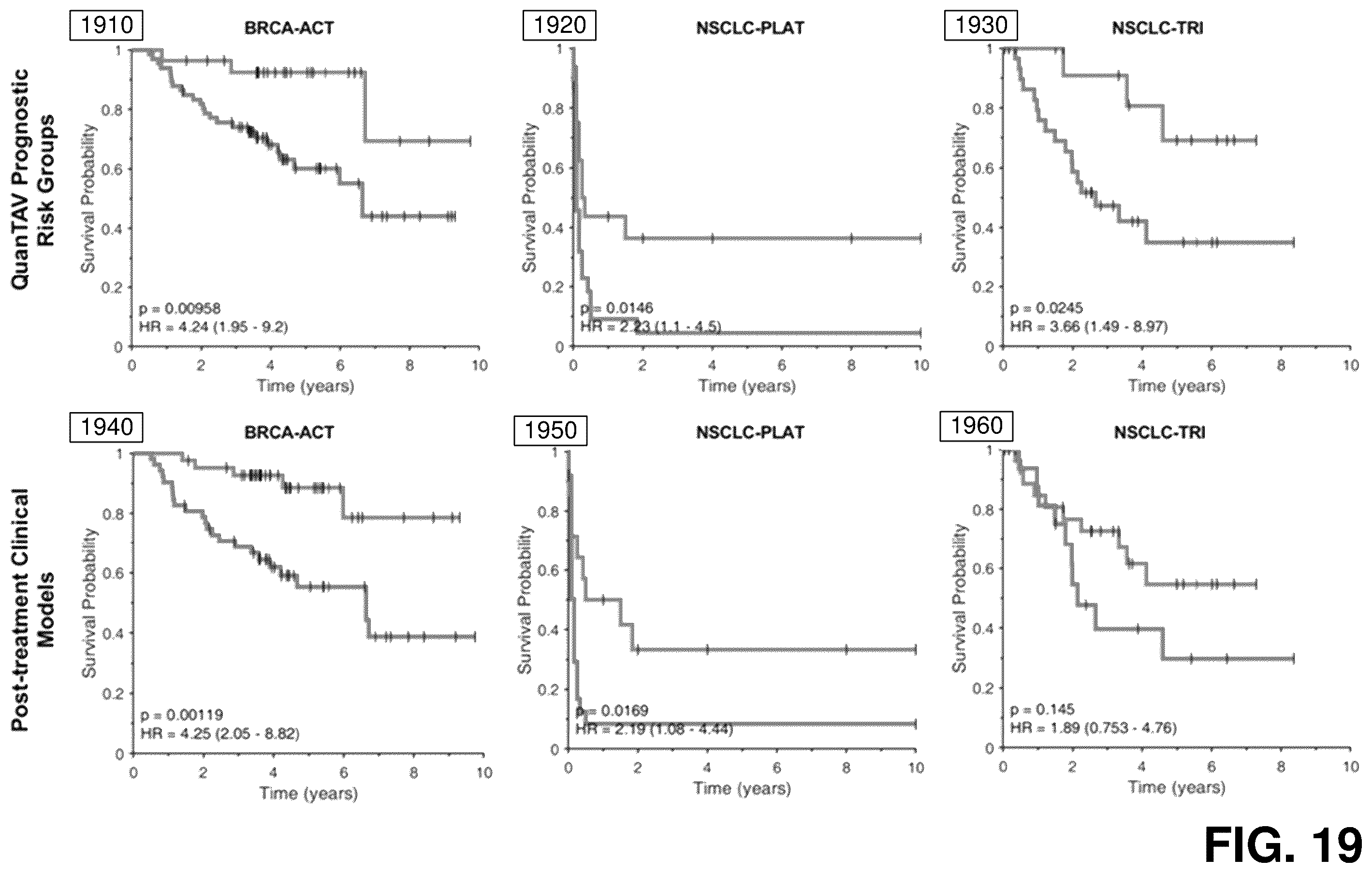 Patent US12376750 Figure 19 – Tumor characterization and outcome prediction through quantitative measurements of tumor-associated vasculature