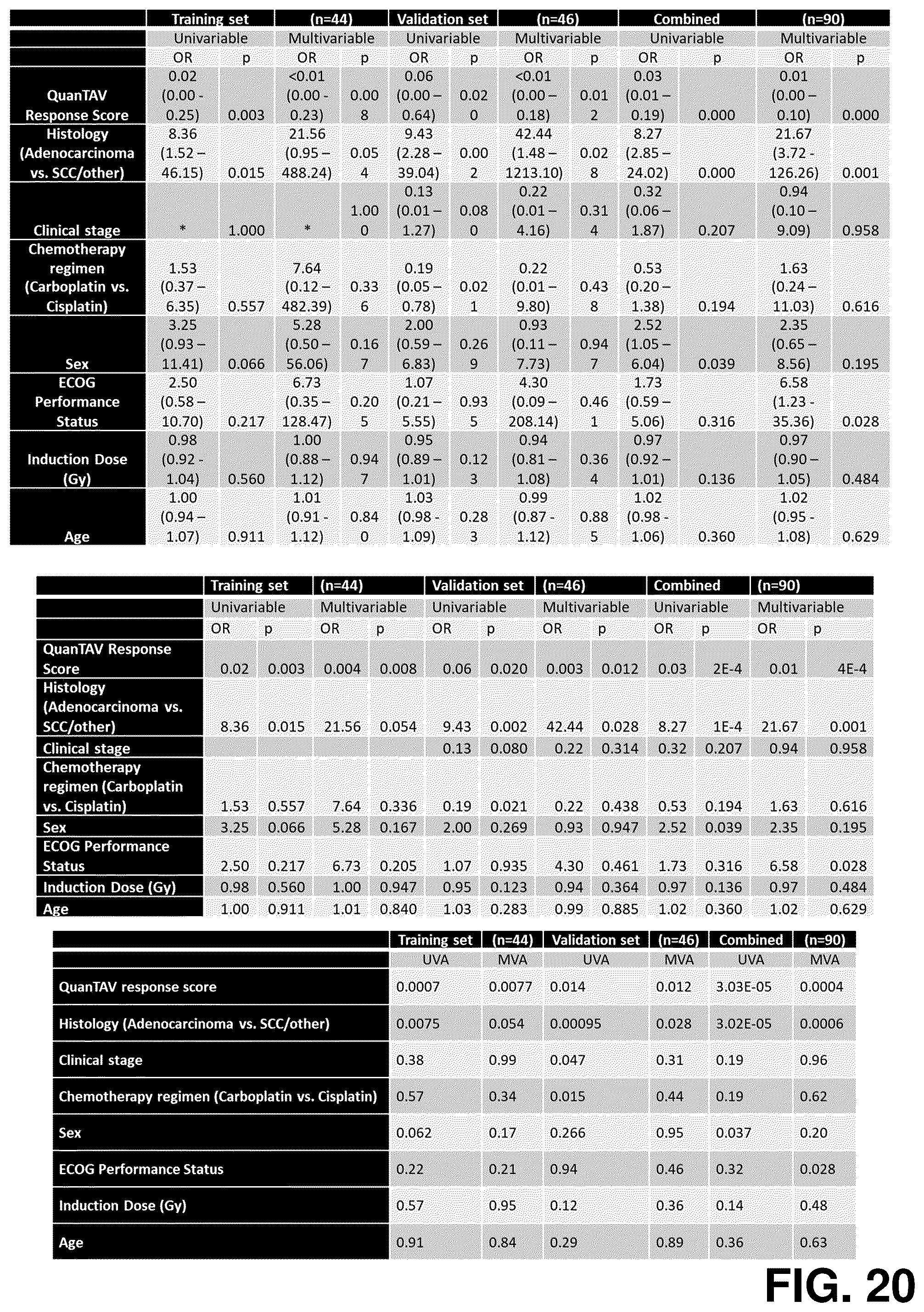Patent US12376750 Figure 20 – Tumor characterization and outcome prediction through quantitative measurements of tumor-associated vasculature