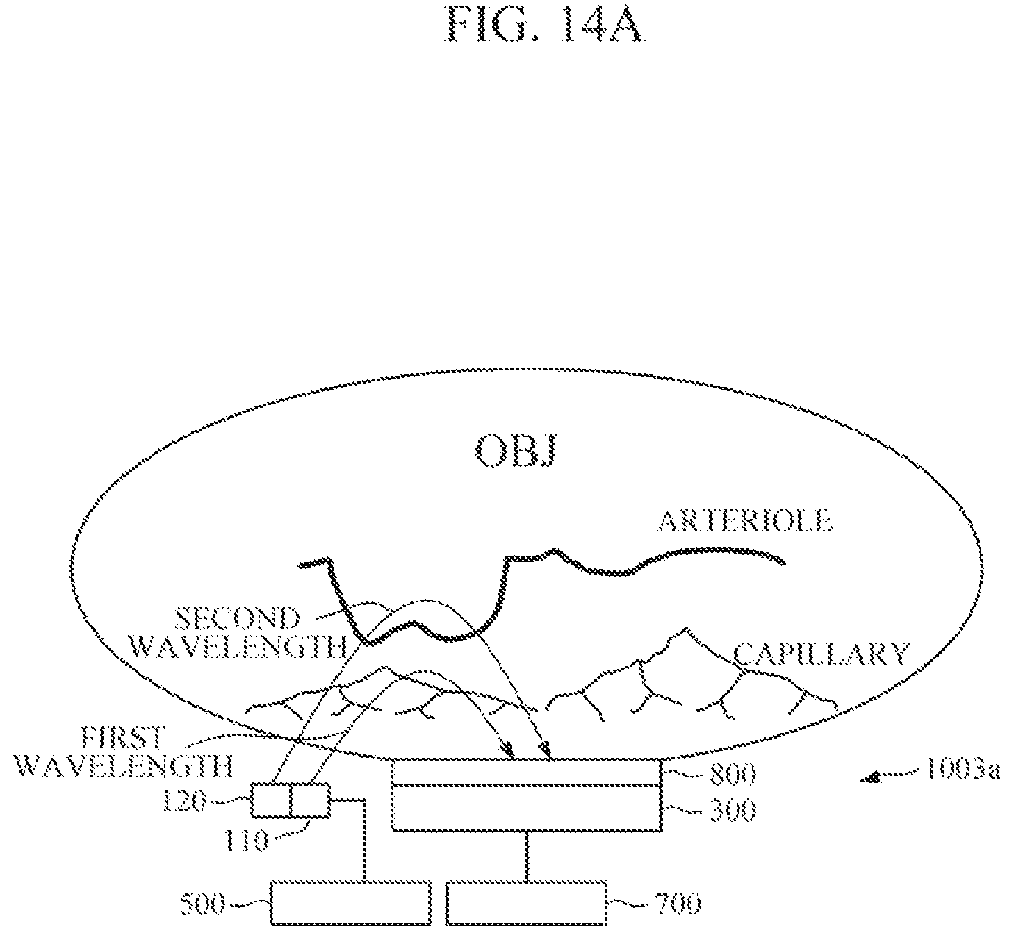 Patent US12376752 Figure 19 – Apparatus for measuring bio-information, and electronic device including the same