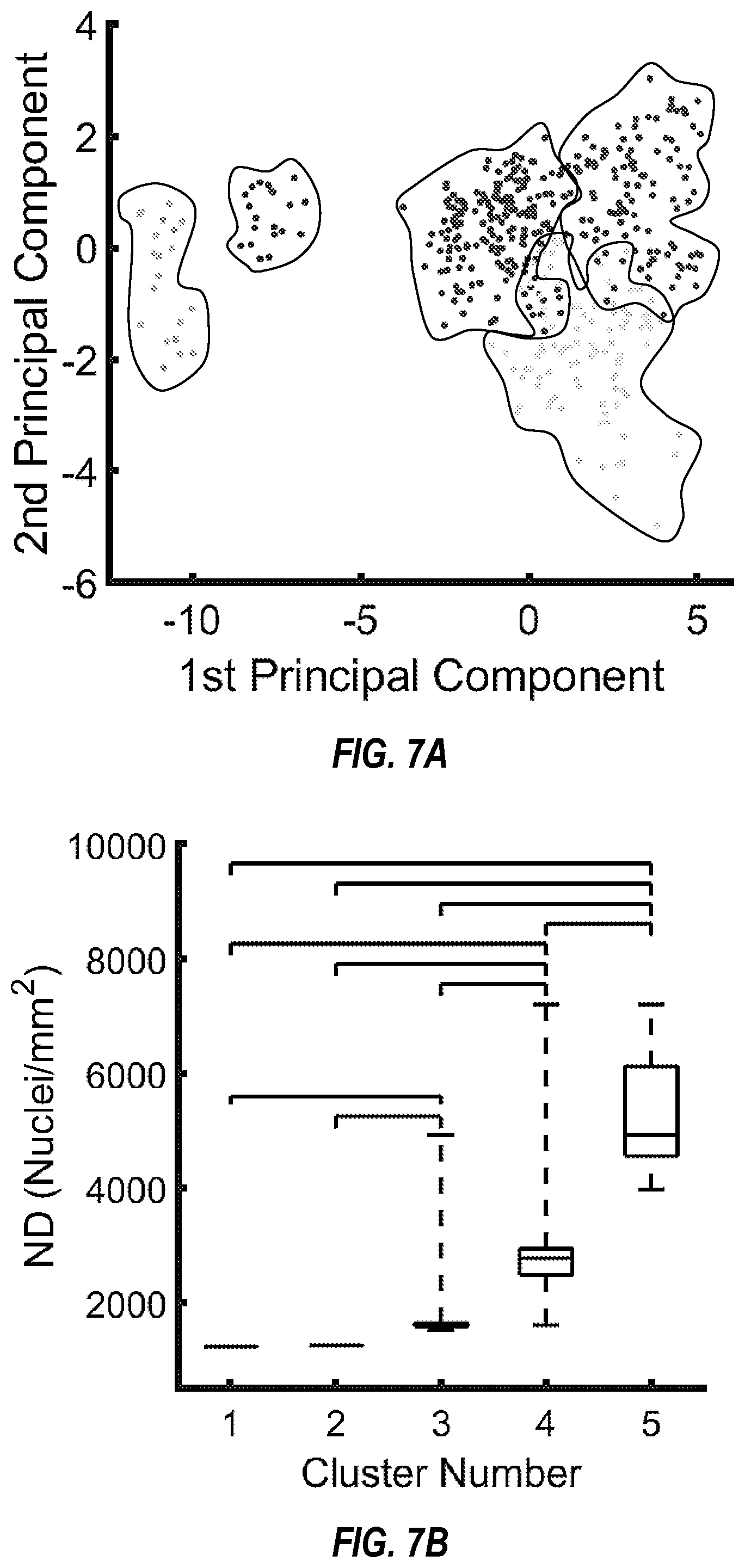 Patent US12376762 Figure 5 – Cardiac tissue characterization using catheterized light scattering spectroscopy