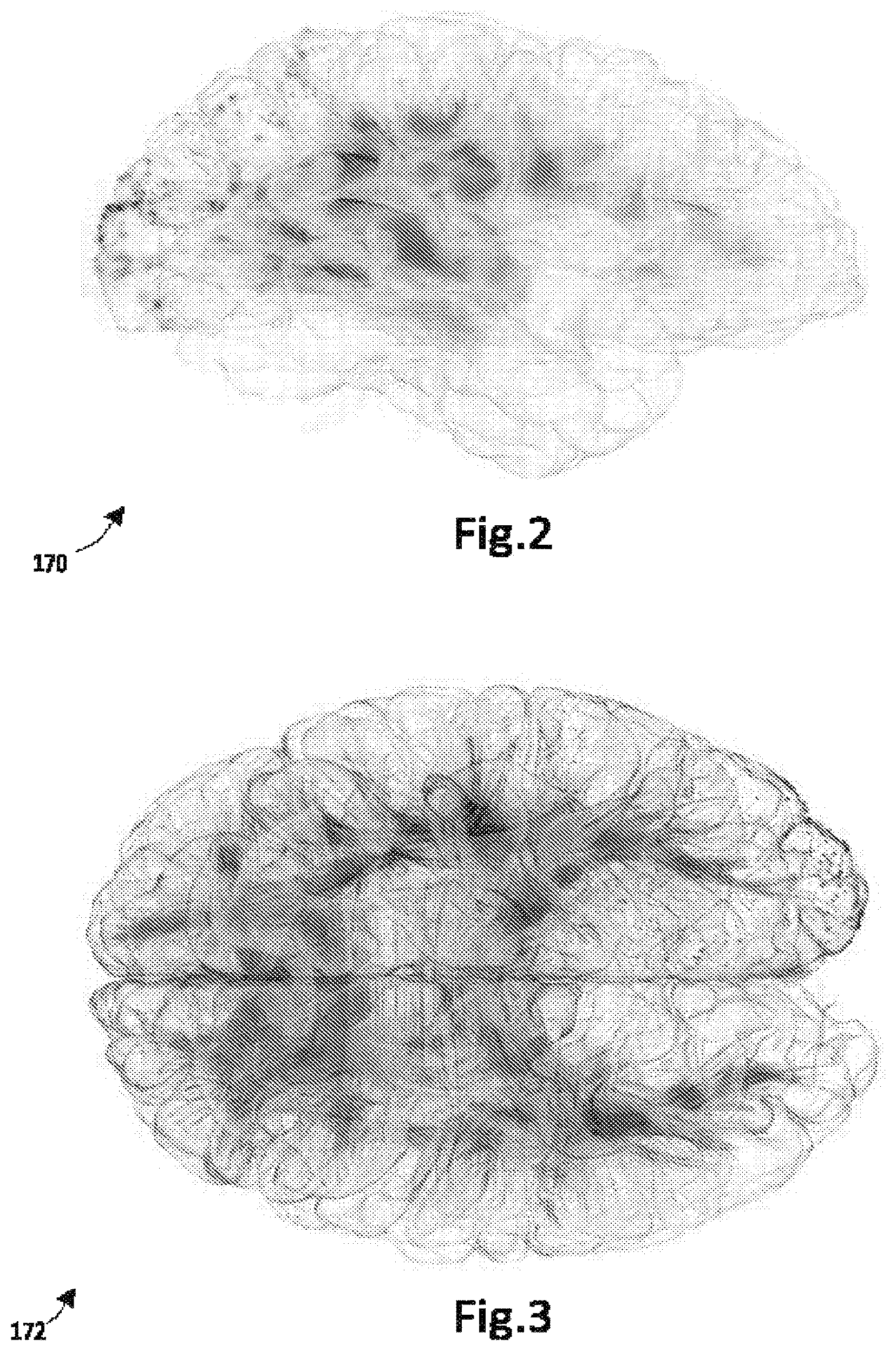 Patent US12376775 Figure 2 – Identifying and strengthening physiological/neurophysiological states predictive of superior performance