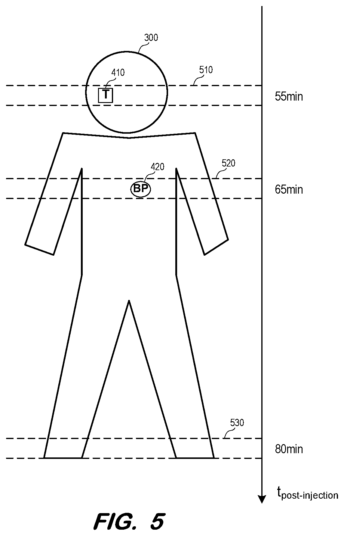 Patent US12376806 Figure 5 – Determination of metabolic rate from static pet scan