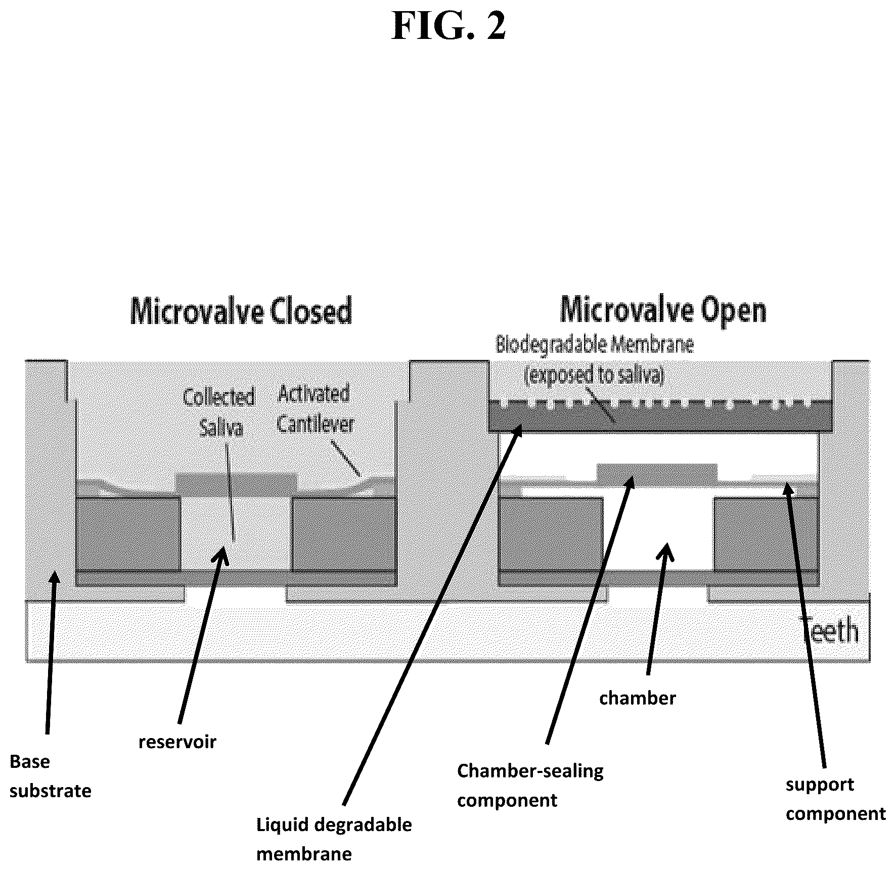 Patent US12376835 Figure 2 – Liquid activated devices and systems