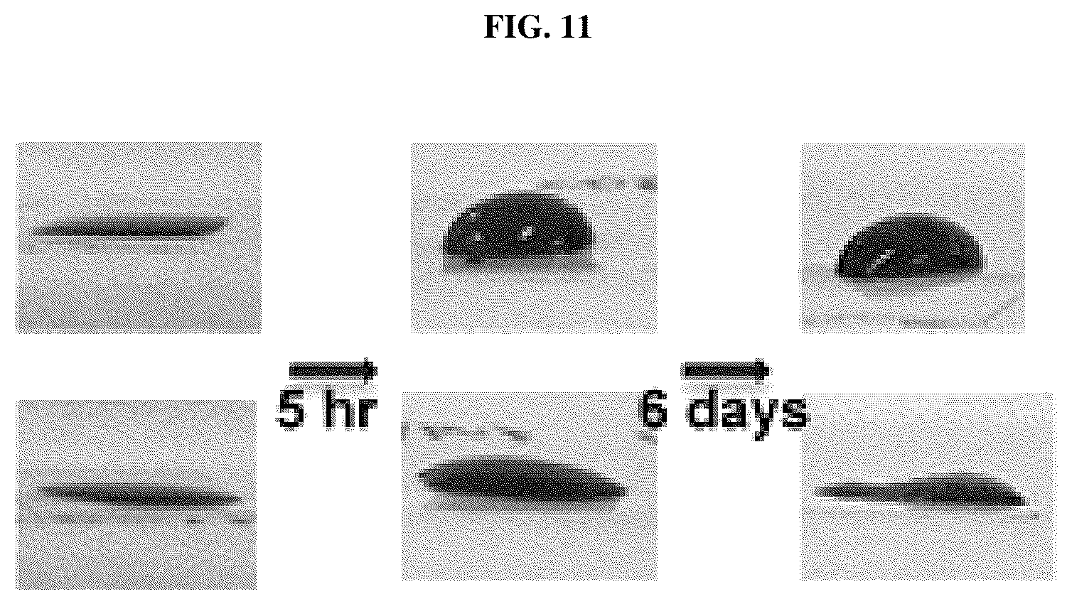 Patent US12376836 Figure 12 – Microfluidic device for detecting biomolecules in sweat and wearable biosensor patch using the same