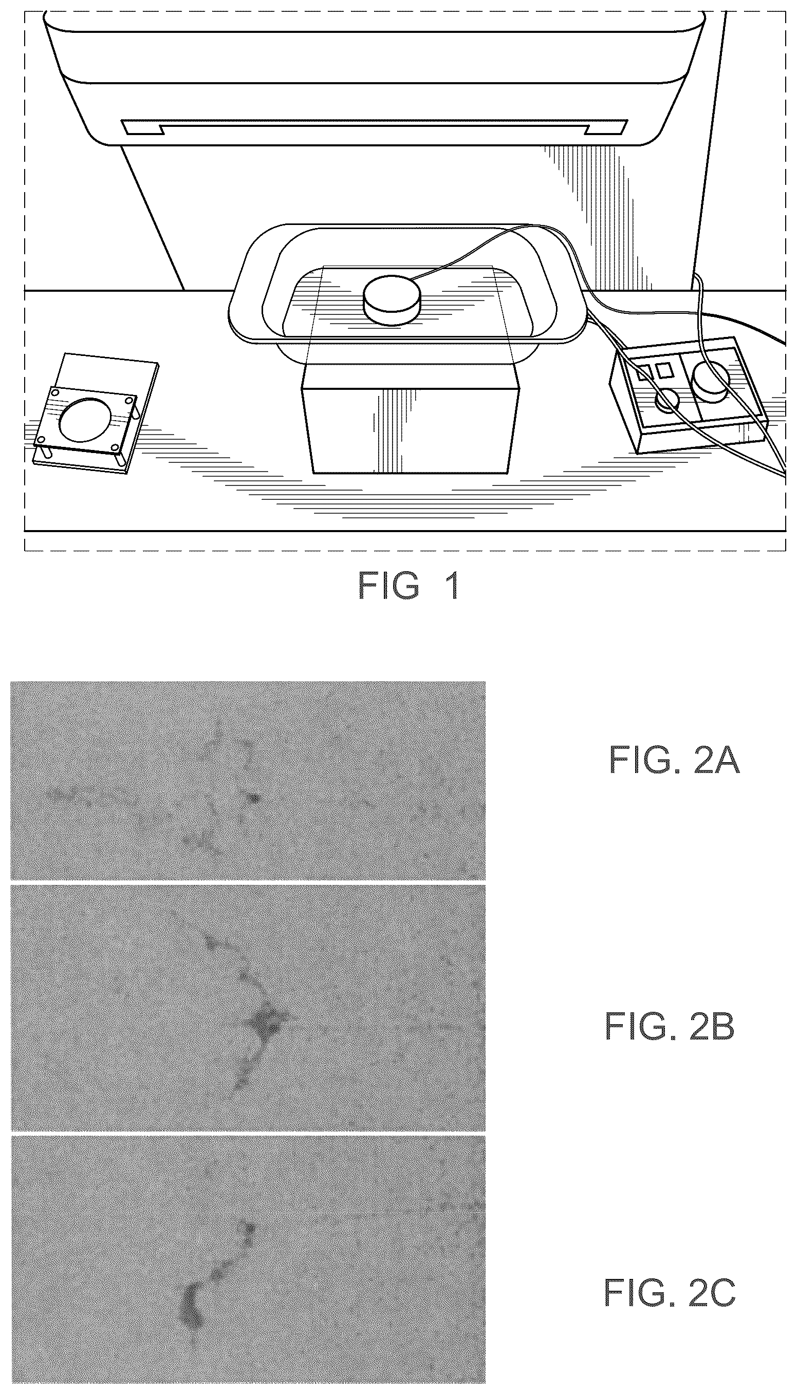 Patent US12376863 Figure 1 – Embolic compositions