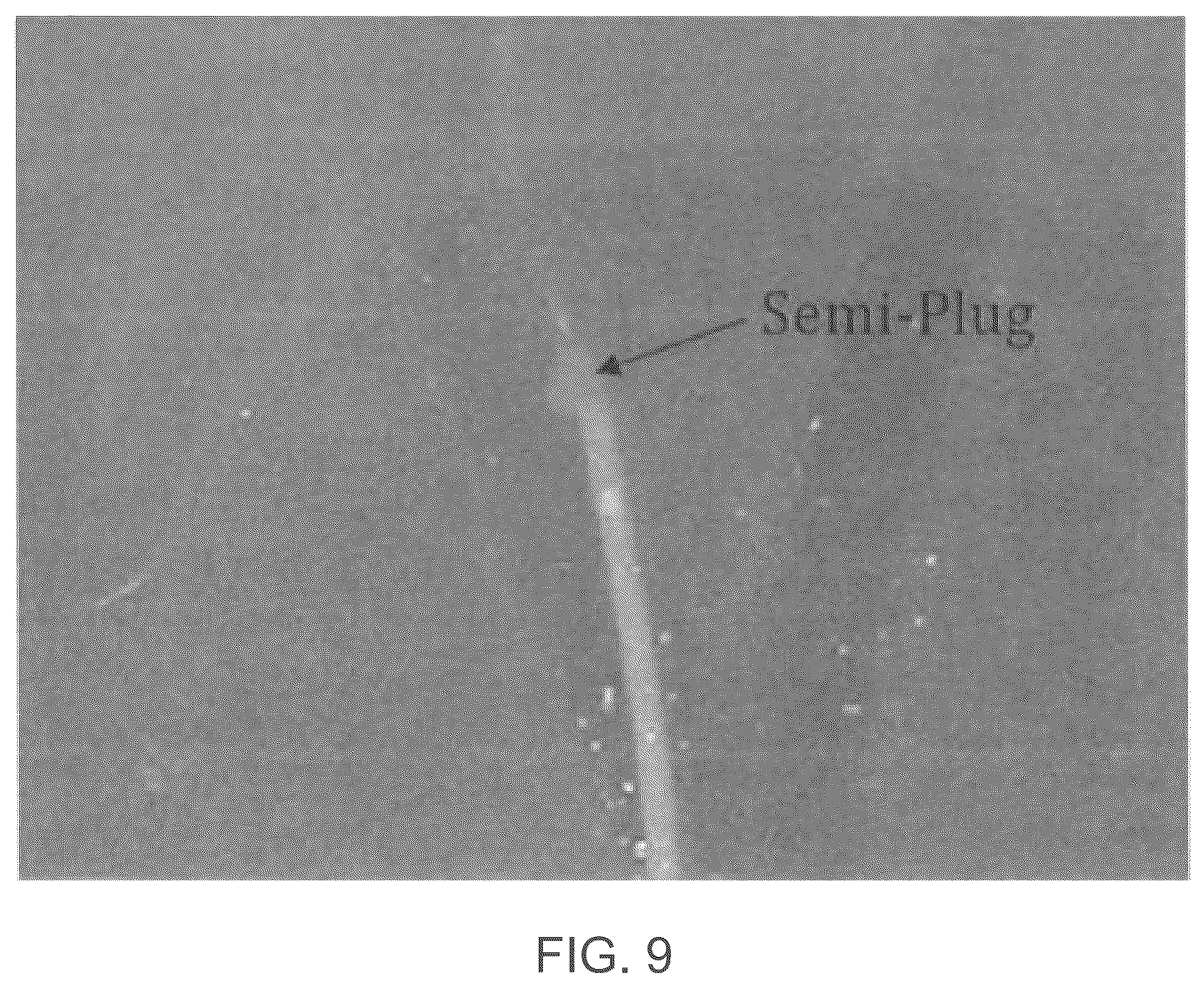 Patent US12376863 Figure 5 – Embolic compositions
