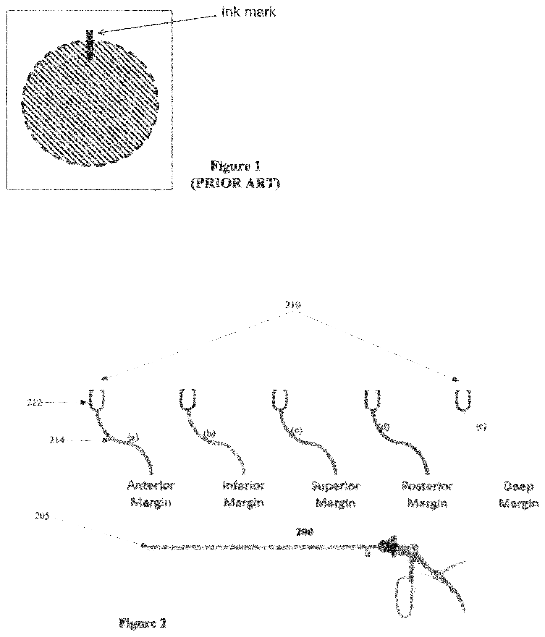 Patent US12376939 Figure 1 – Method of marking a specimen