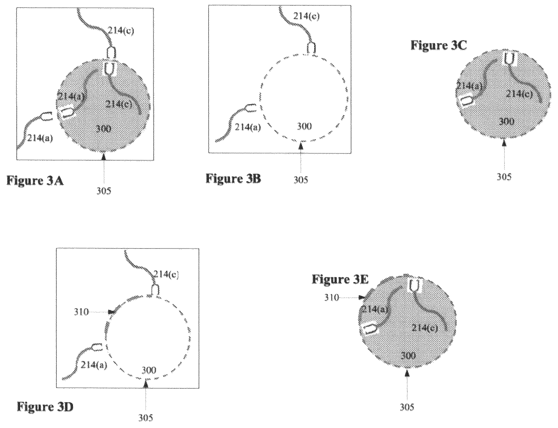 Patent US12376939 Figure 2 – Method of marking a specimen