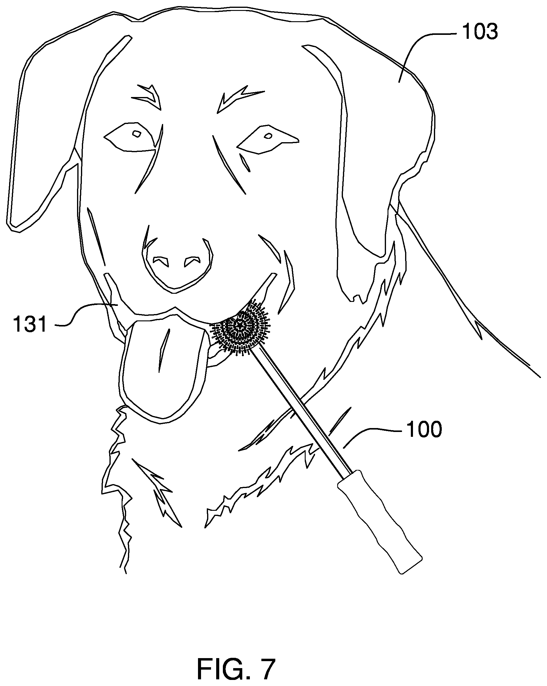 Patent US12376952 Figure 5 – Teeth cleaning dog chew toy