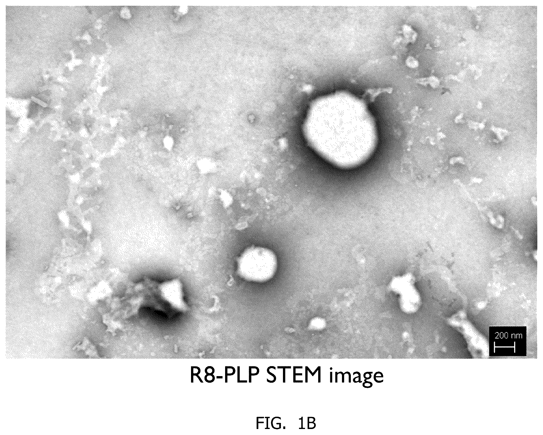 Patent US12377048 Figure 2 – Methods of making neutral liposomes containing biologically active agents