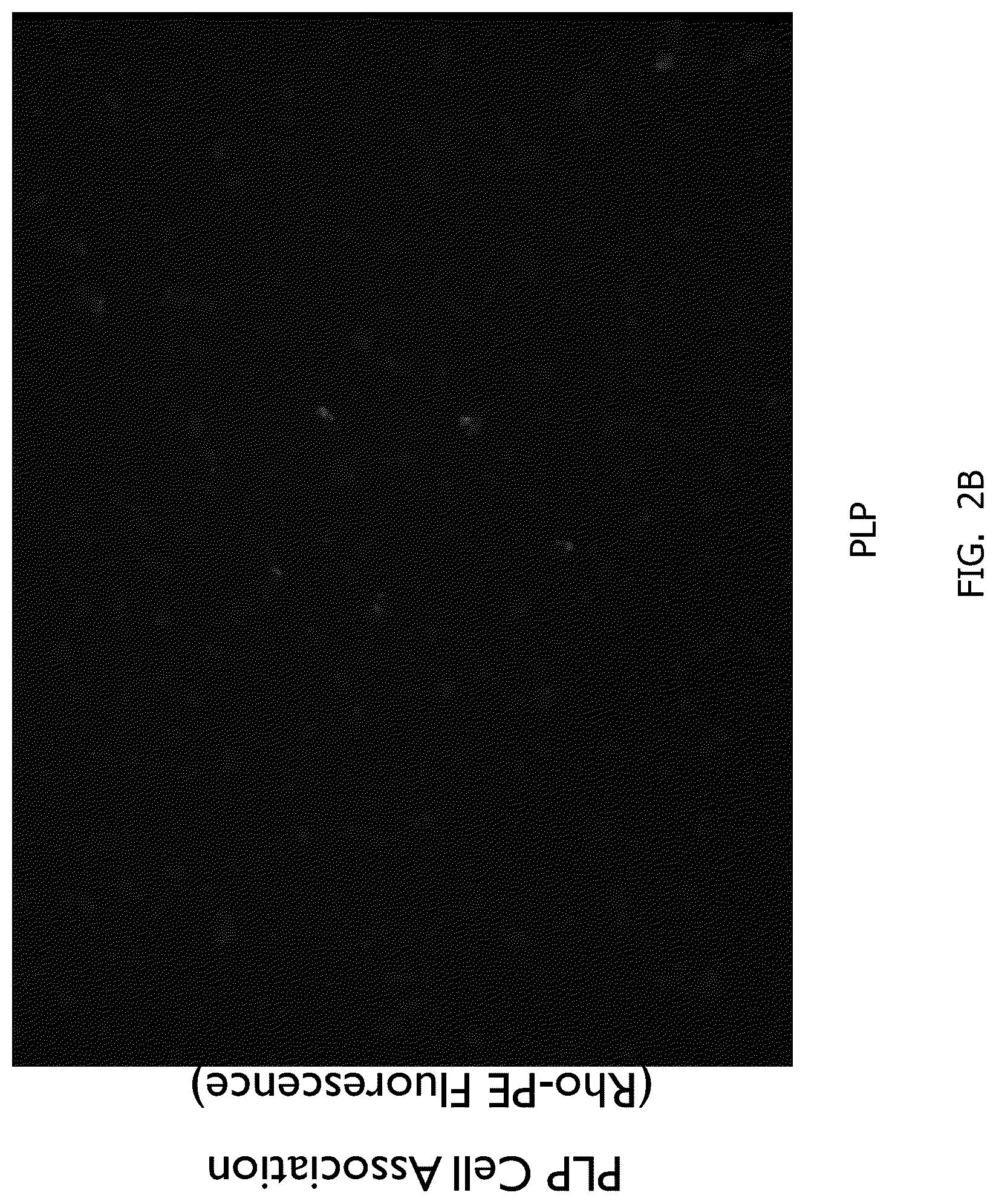 Patent US12377048 Figure 4 – Methods of making neutral liposomes containing biologically active agents