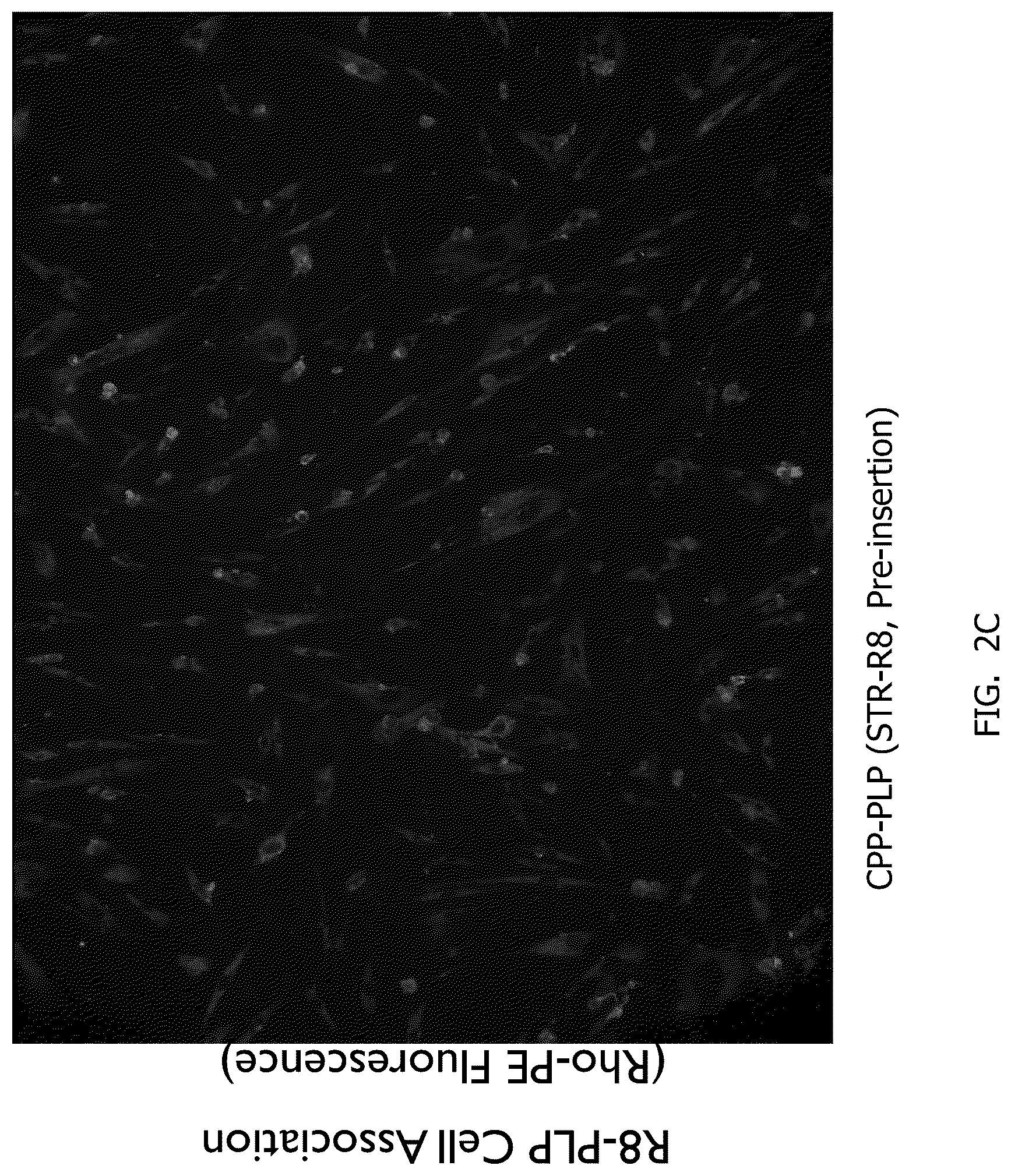 Patent US12377048 Figure 5 – Methods of making neutral liposomes containing biologically active agents