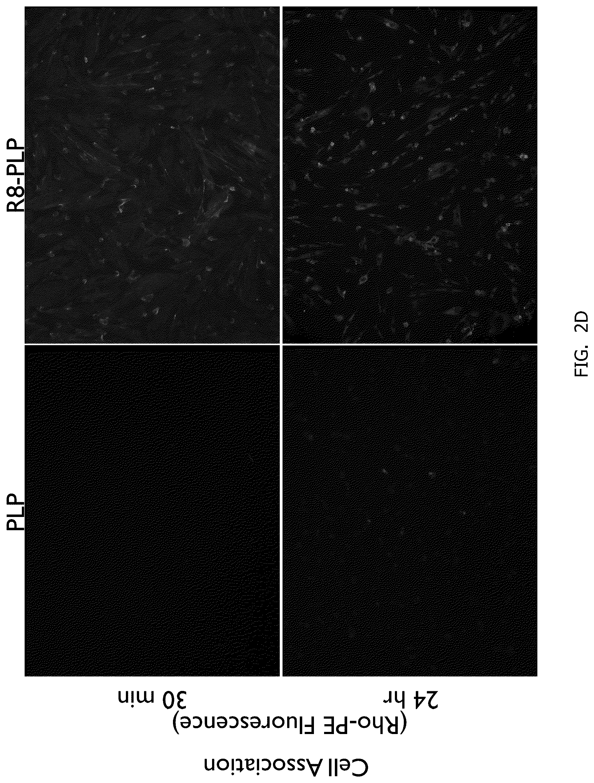 Patent US12377048 Figure 6 – Methods of making neutral liposomes containing biologically active agents