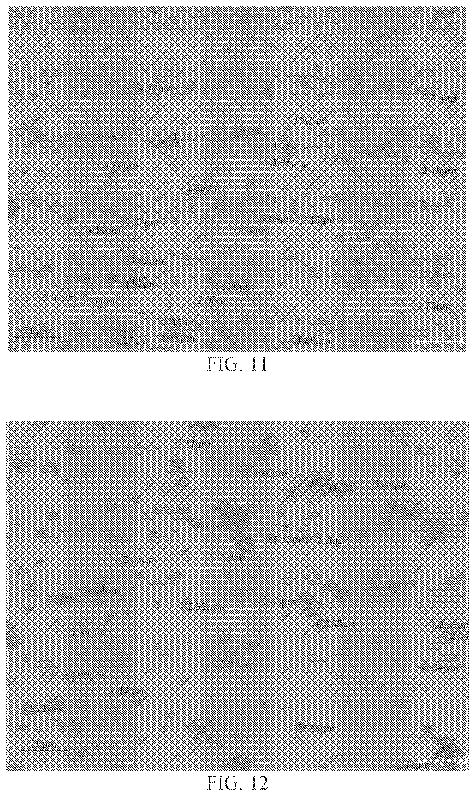 Patent US12377049 Figure 6 – Fulvestrant pharmaceutical composition, preparation method therefor, and application thereof