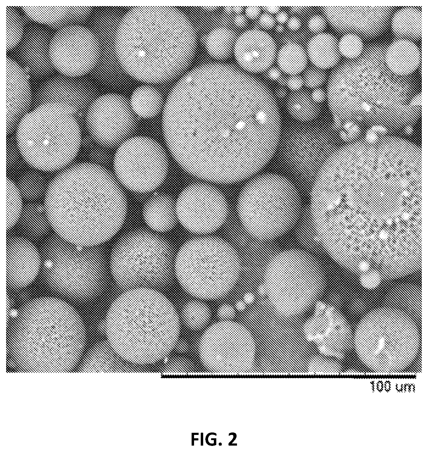 Patent US12377050 Figure 2 – Methods of forming particles by continuous droplet formation and dehydration