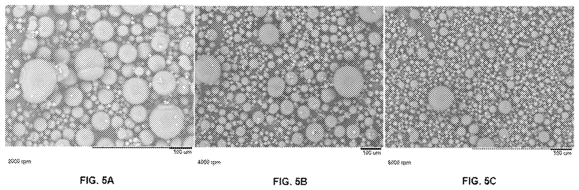Patent US12377050 Figure 5 – Methods of forming particles by continuous droplet formation and dehydration