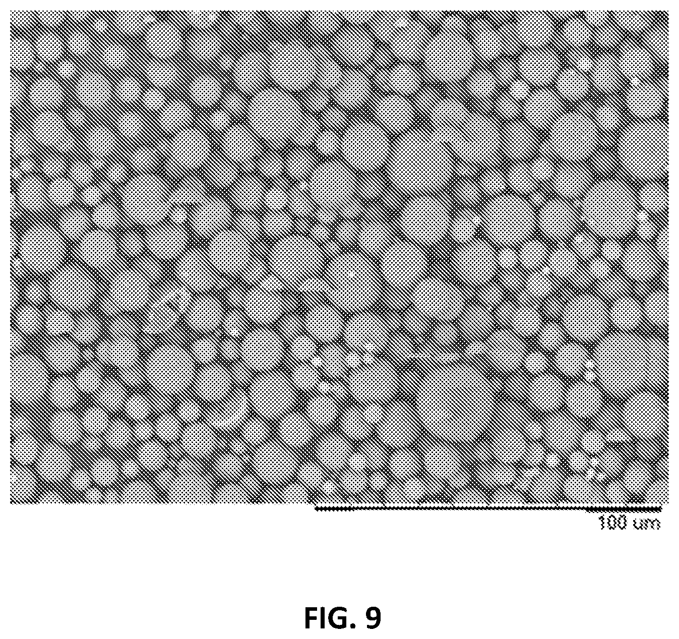 Patent US12377050 Figure 9 – Methods of forming particles by continuous droplet formation and dehydration