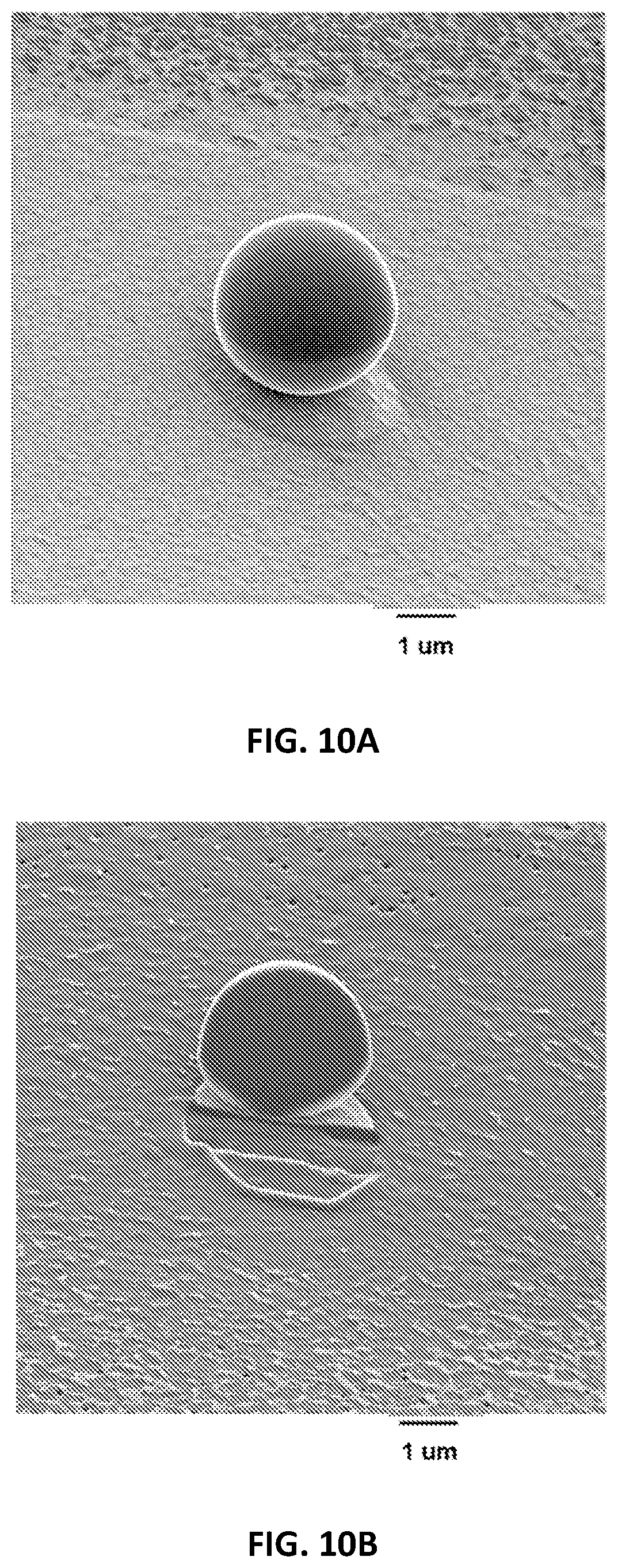 Patent US12377050 Figure 10 – Methods of forming particles by continuous droplet formation and dehydration