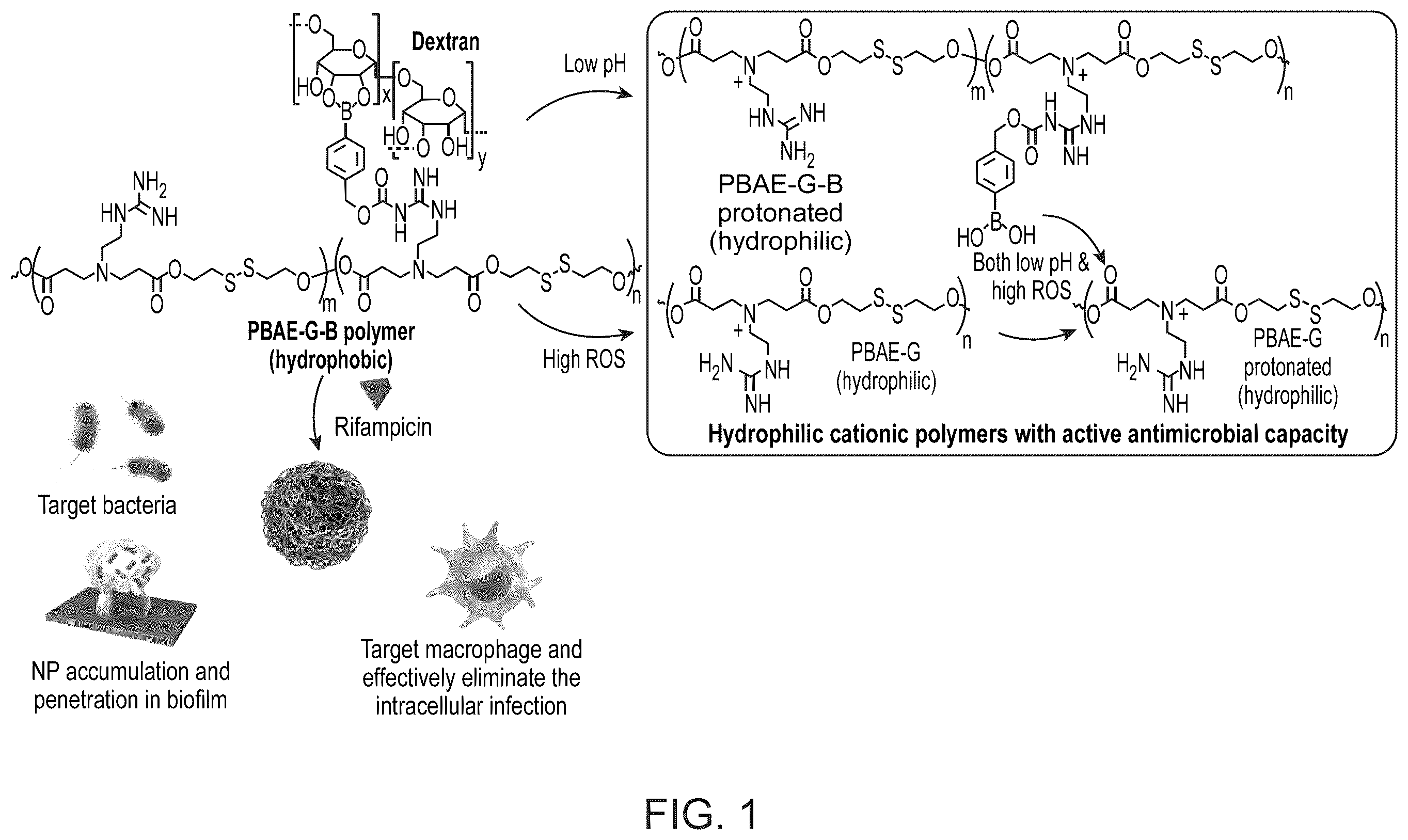 Patent US12377052 — Dual-responsive nanoparticles for enhanced antibacterial efficacy — Figure 1