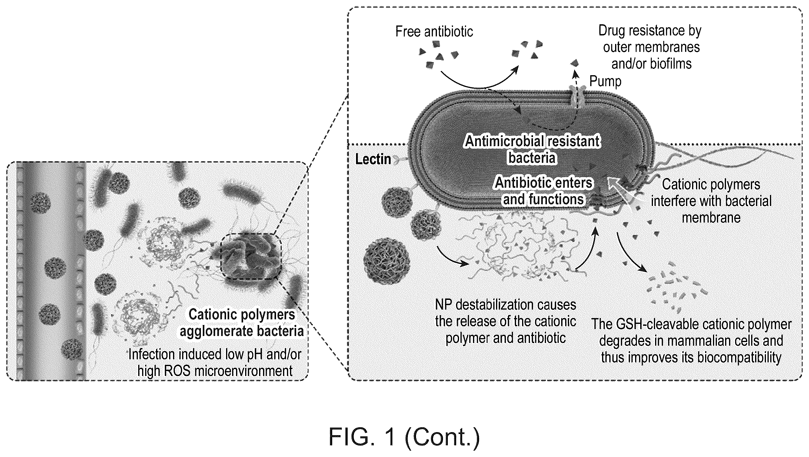 Patent US12377052 Figure 2 – Dual-responsive nanoparticles for enhanced antibacterial efficacy
