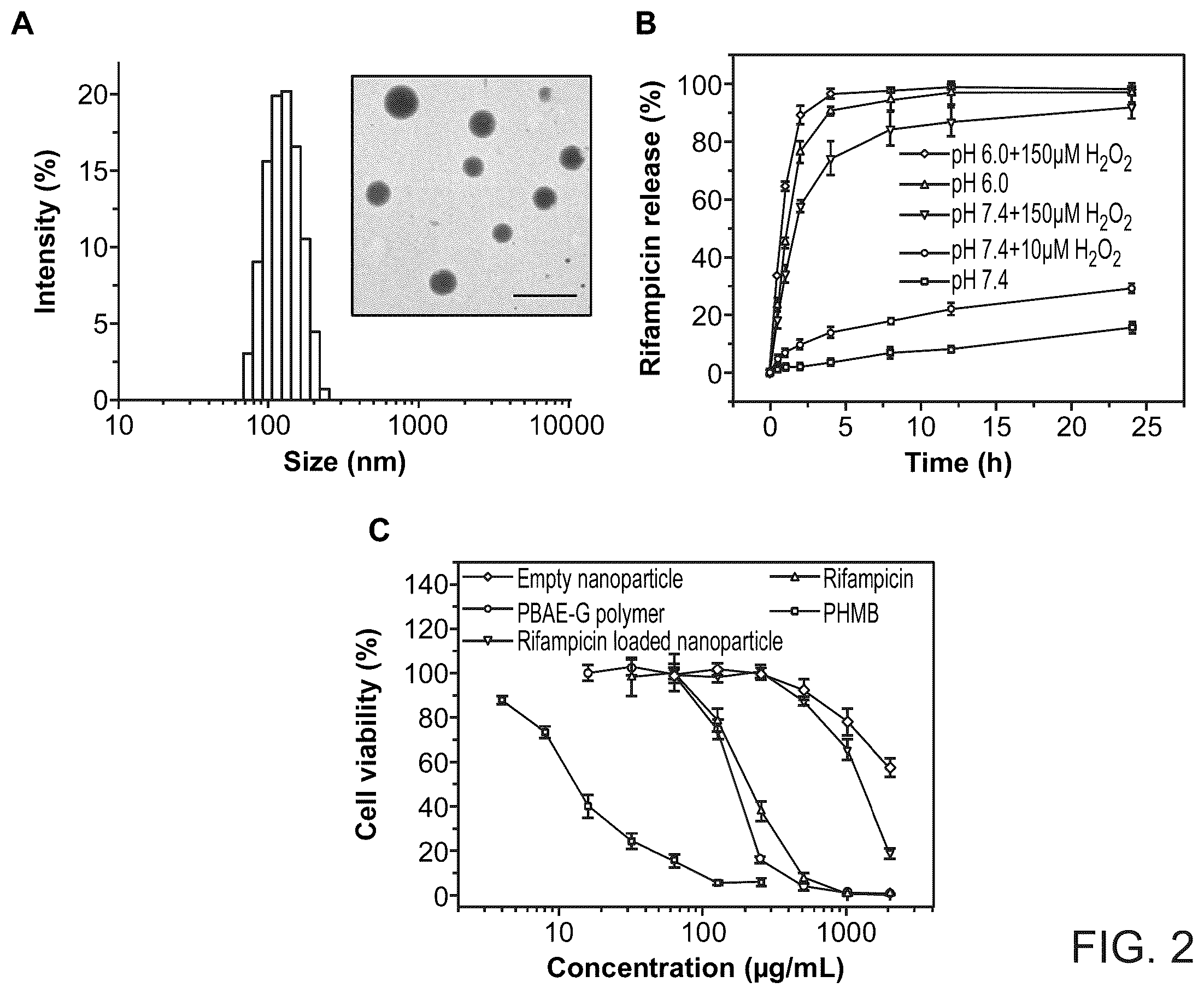 Patent US12377052 Figure 3 – Dual-responsive nanoparticles for enhanced antibacterial efficacy