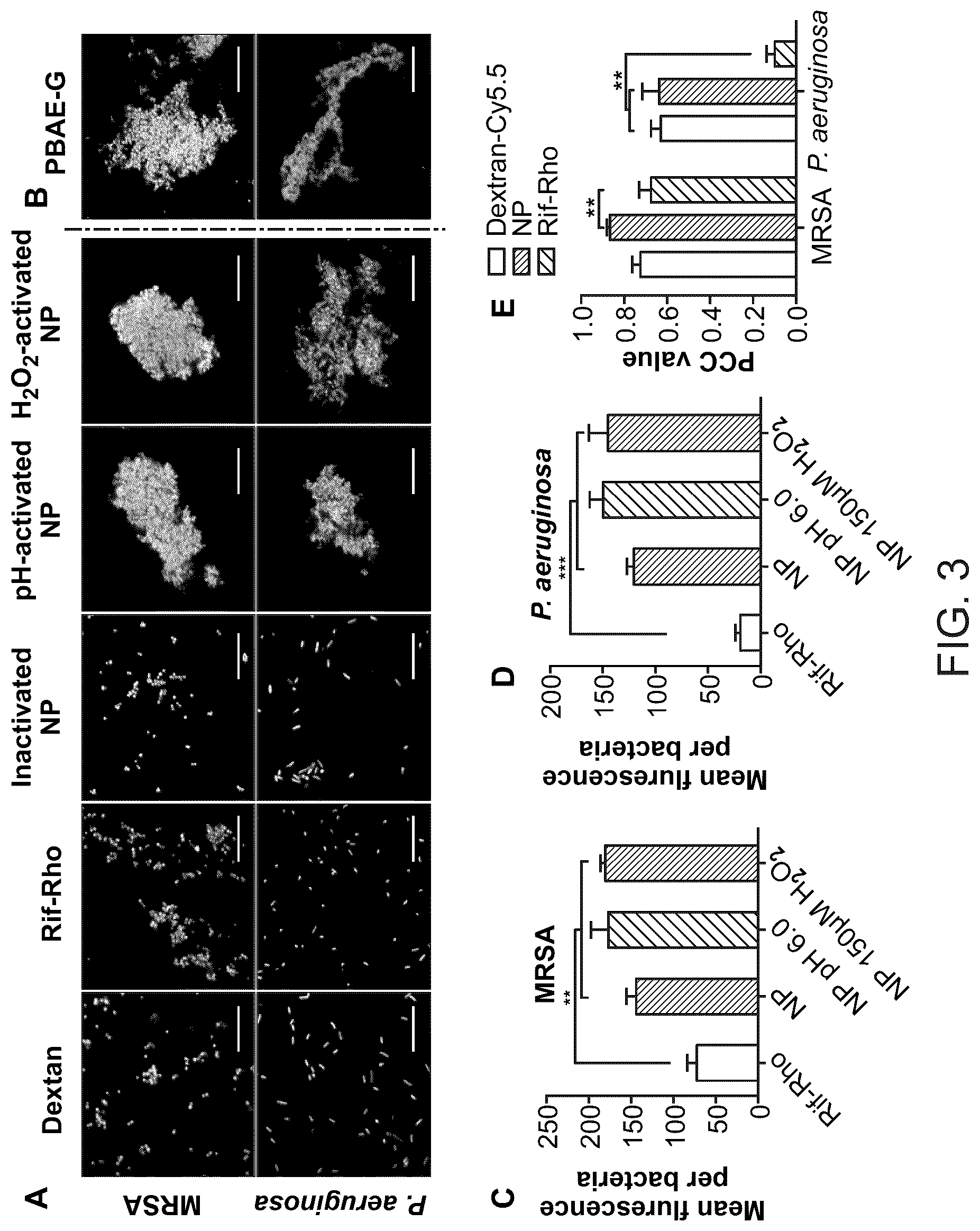 Patent US12377052 Figure 6 – Dual-responsive nanoparticles for enhanced antibacterial efficacy