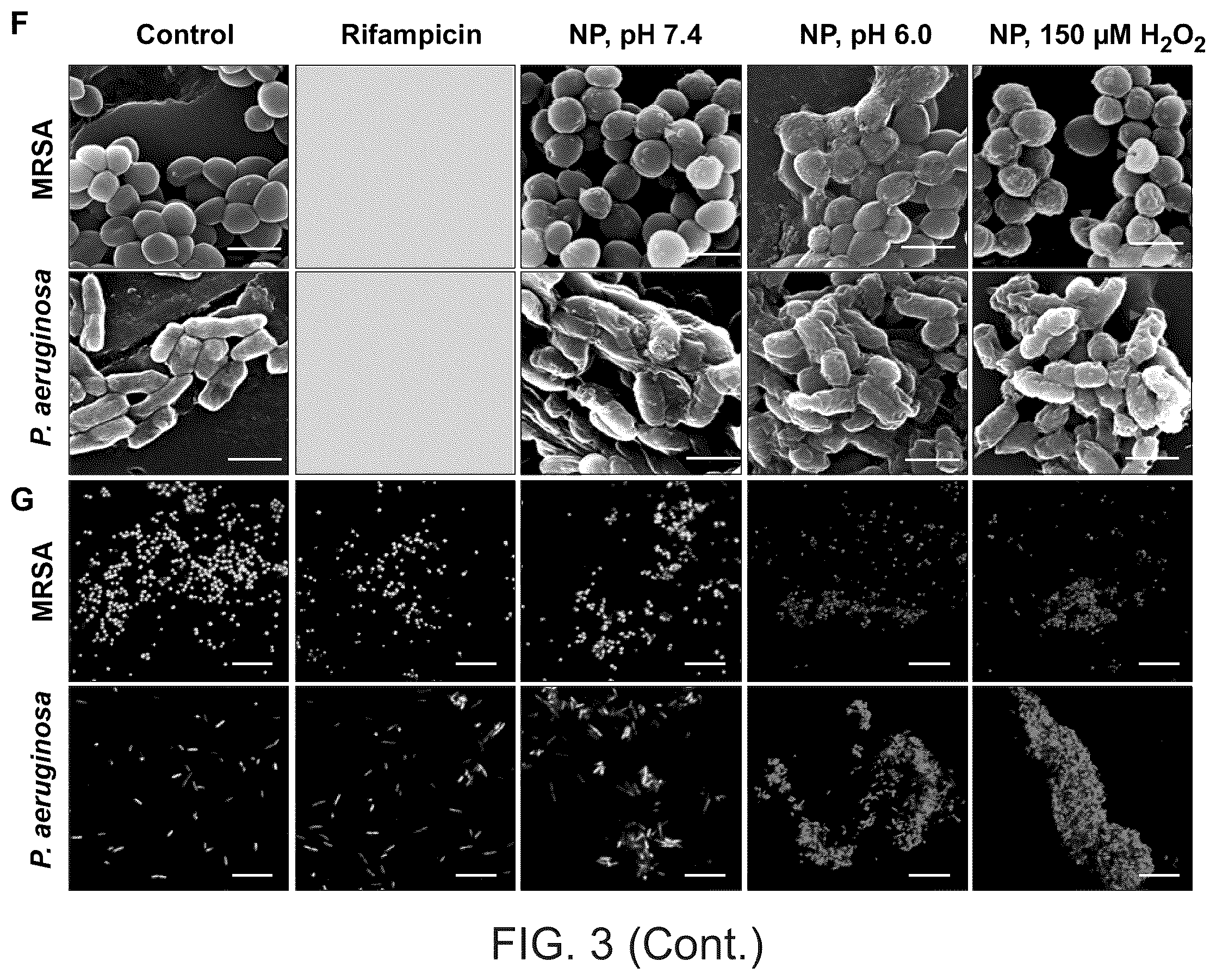 Patent US12377052 Figure 7 – Dual-responsive nanoparticles for enhanced antibacterial efficacy